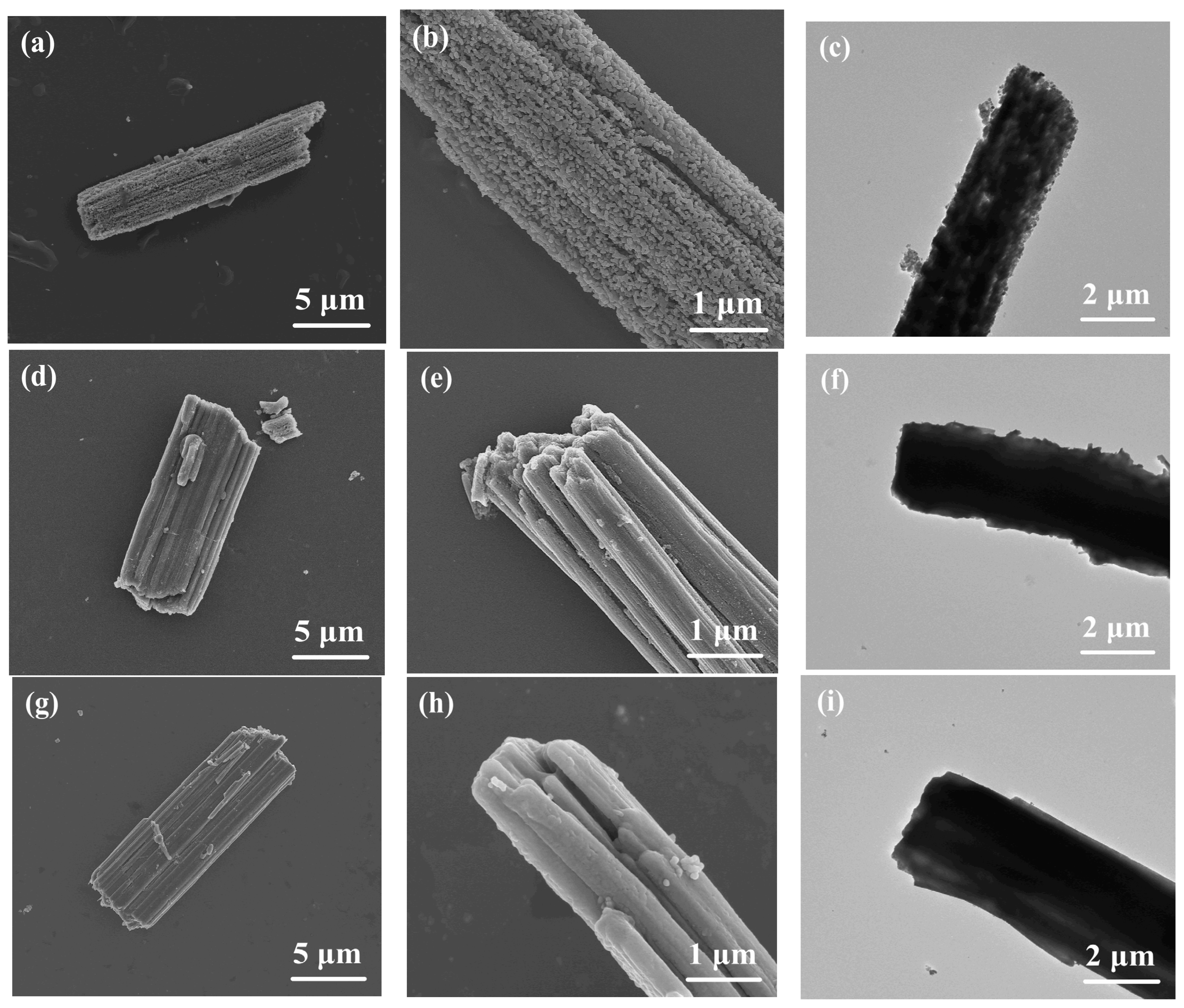 Molecules 28 01823 g002