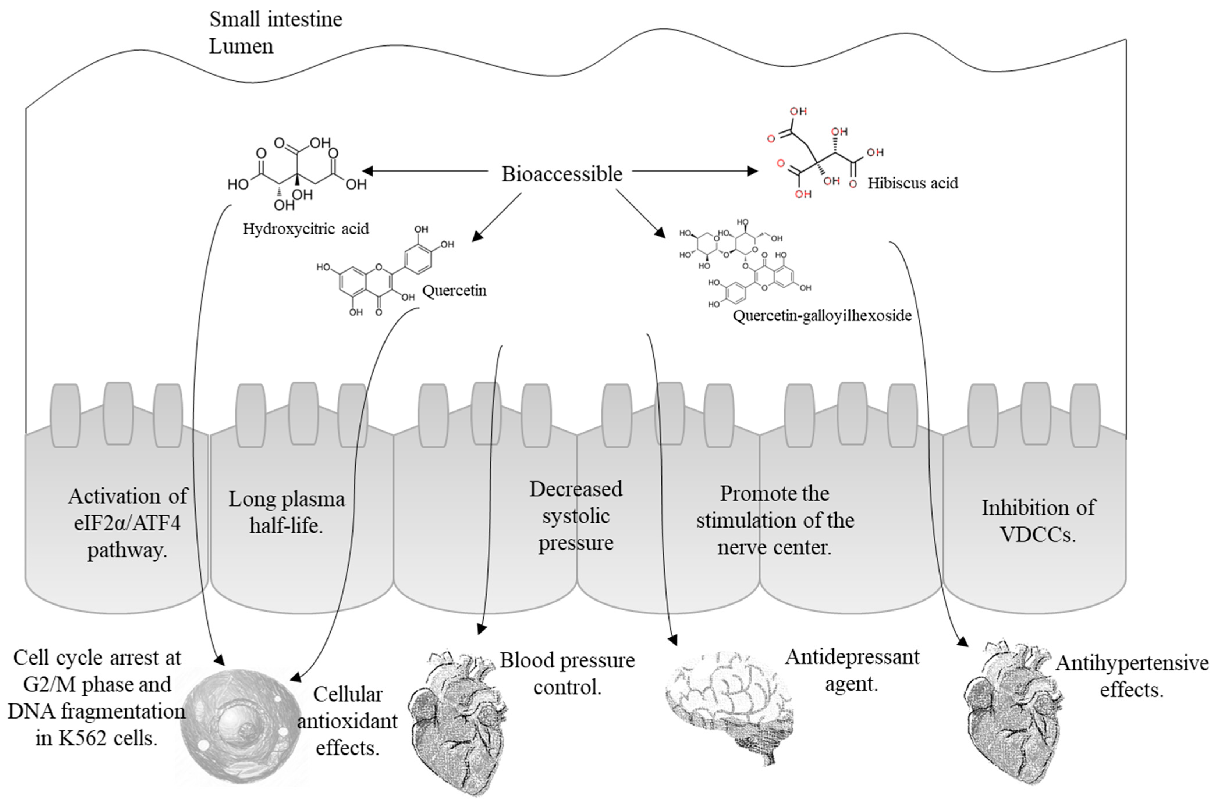 Molecules 28 01824 g004