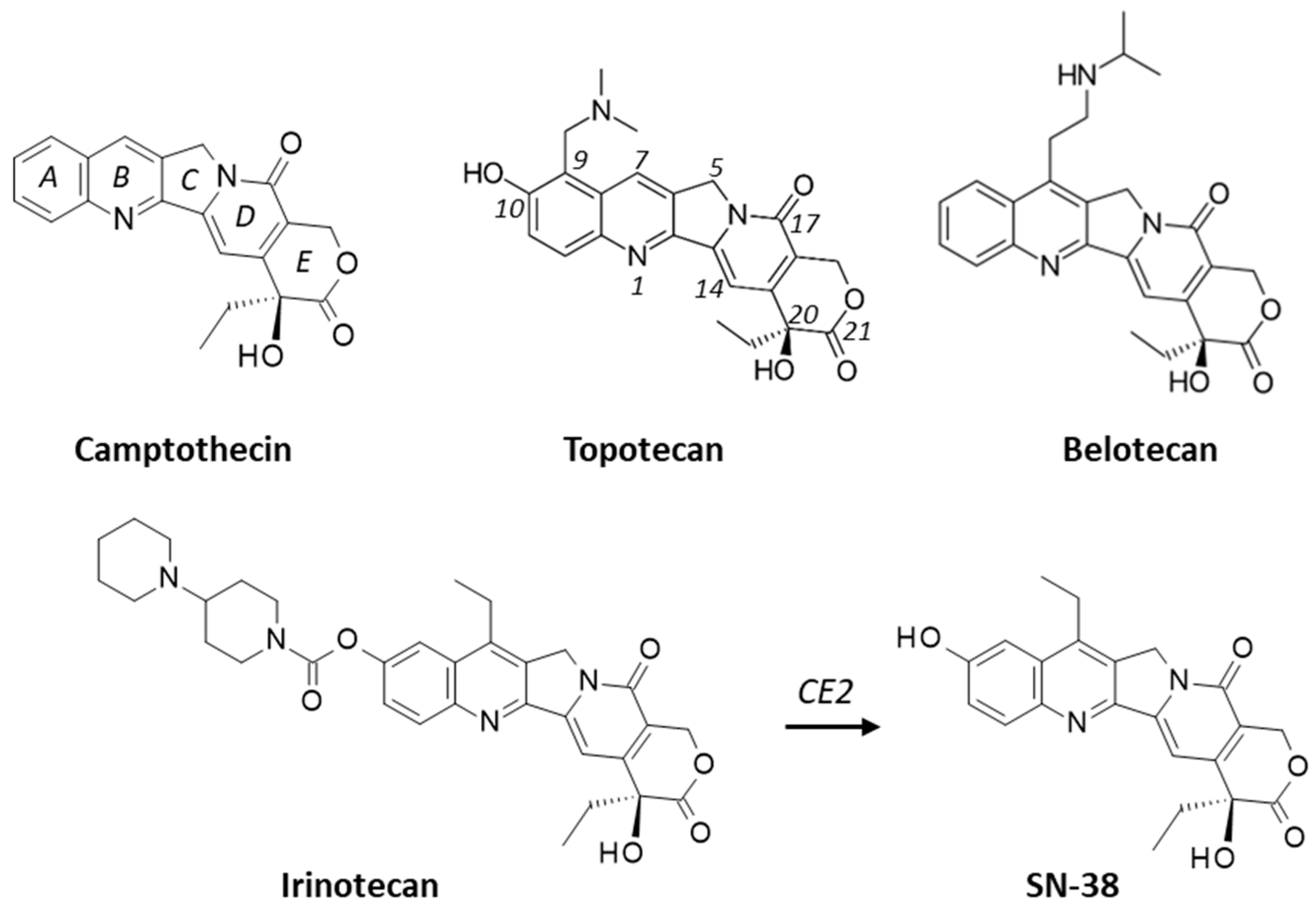 Molecules 28 01828 g001