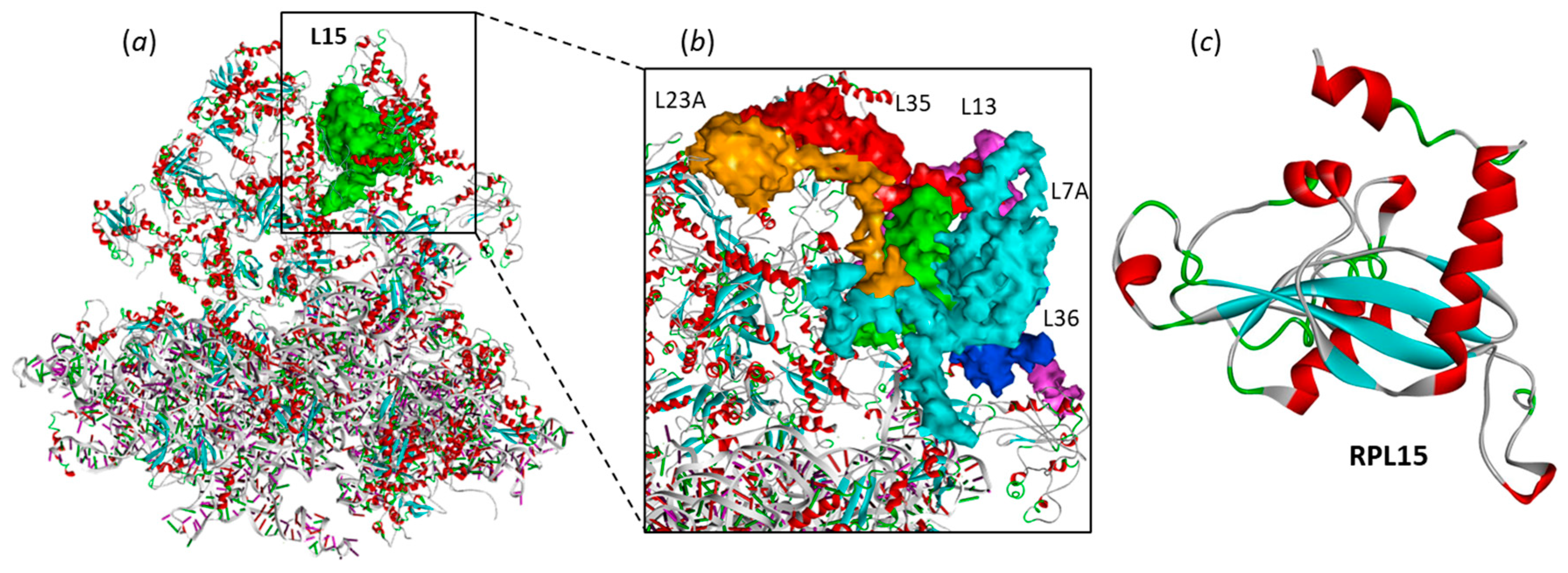 Molecules 28 01828 g002
