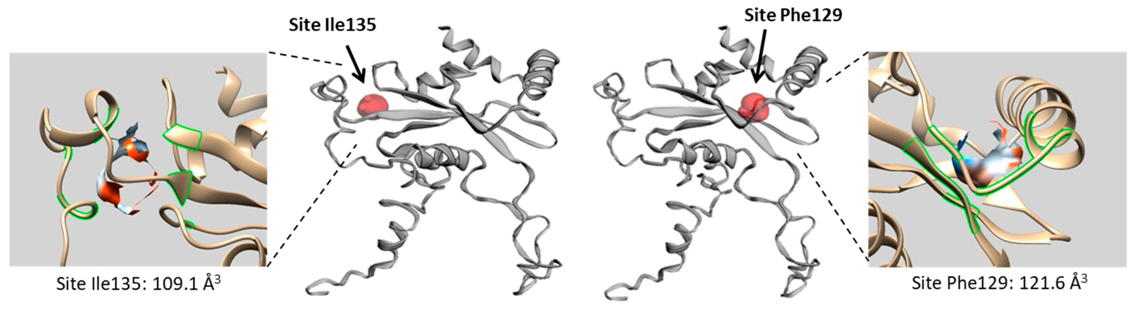 Molecules 28 01828 g003