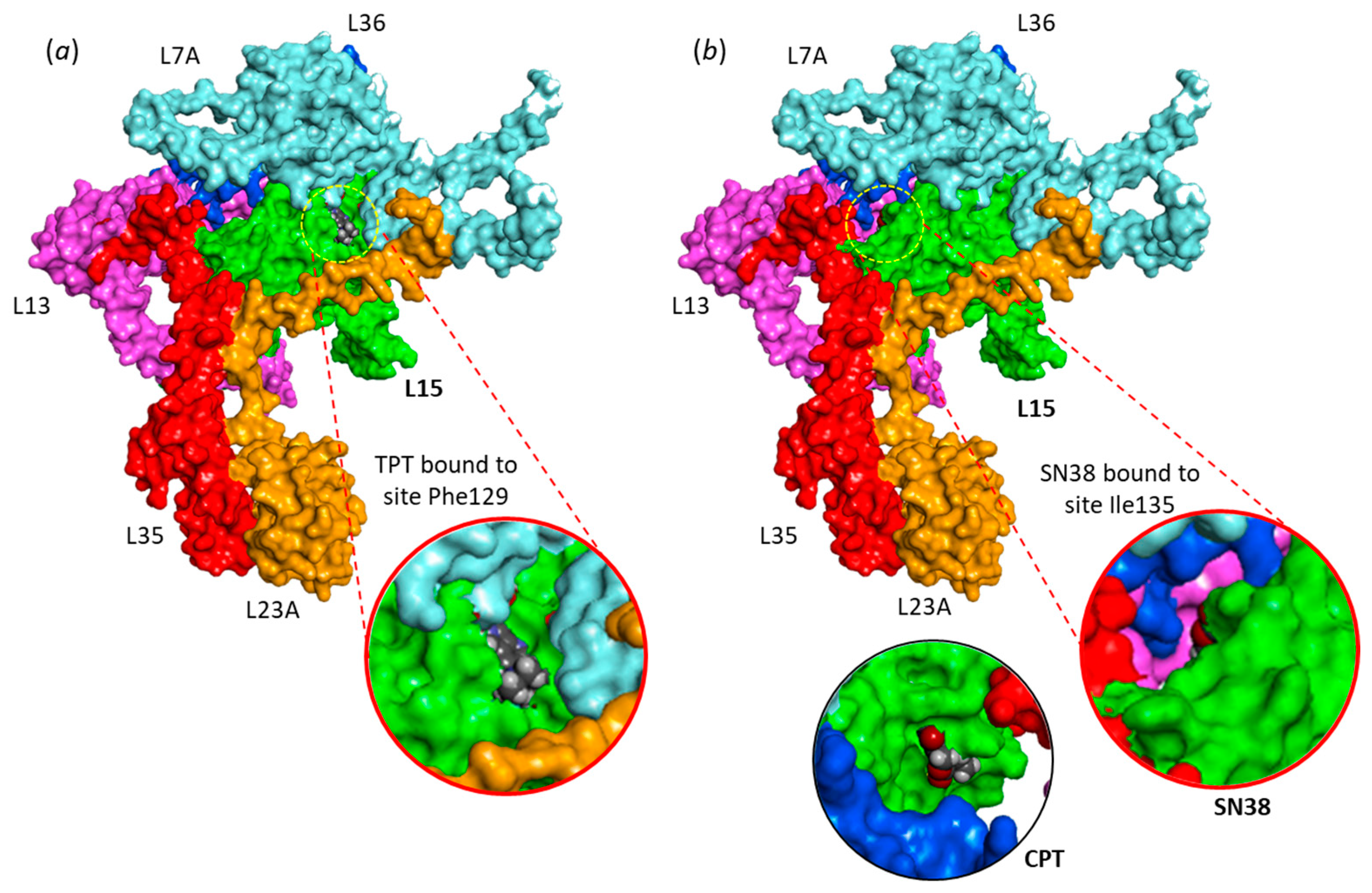 Molecules 28 01828 g004