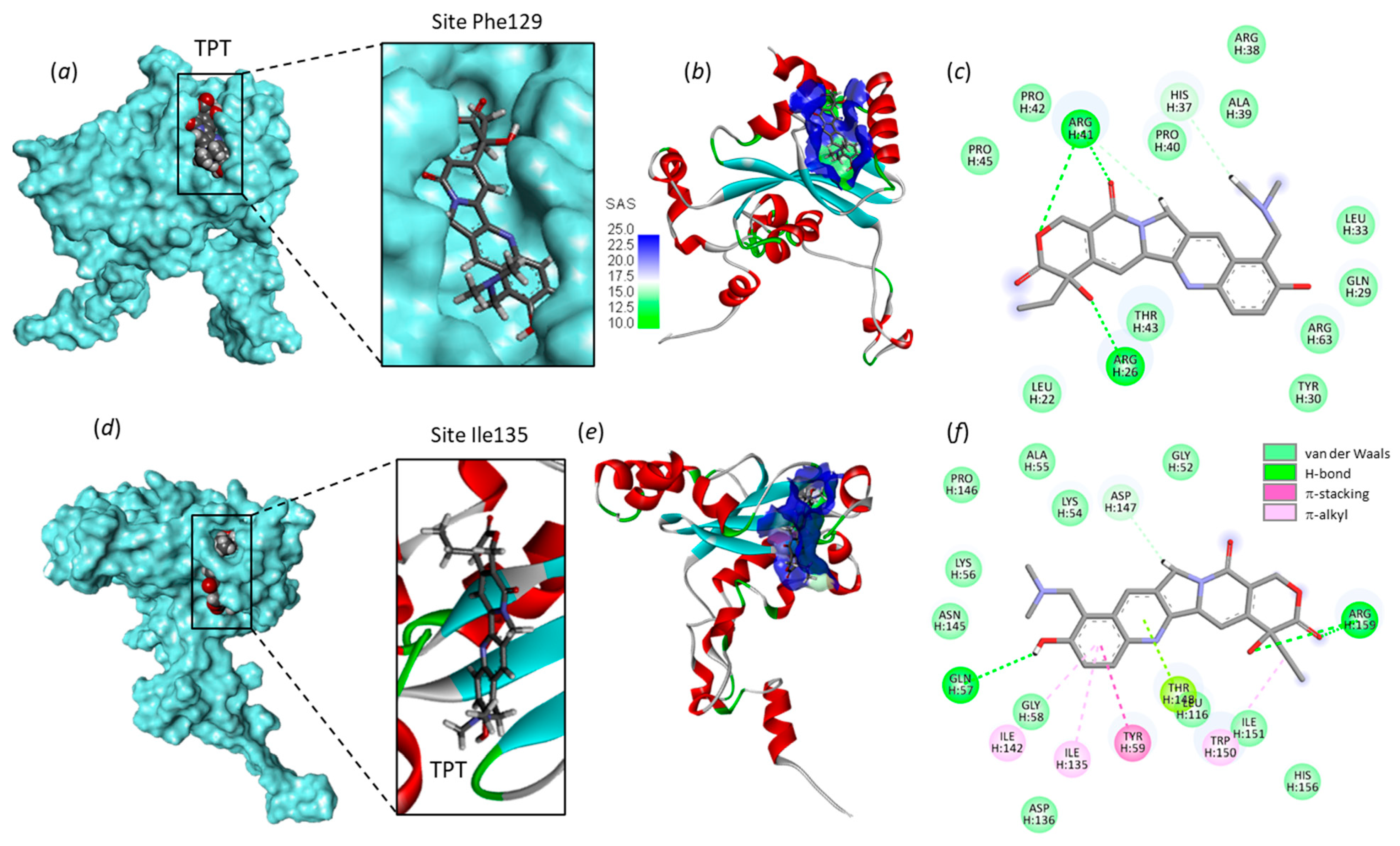 Molecules 28 01828 g005