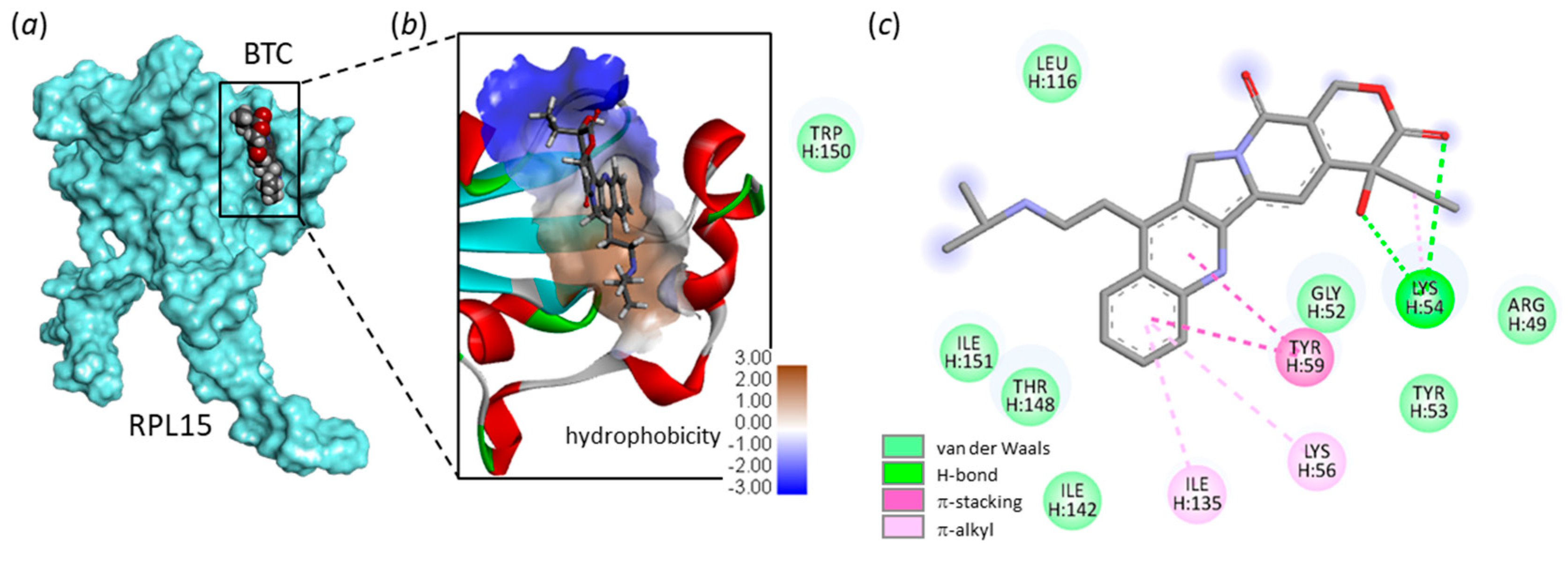 Molecules 28 01828 g006