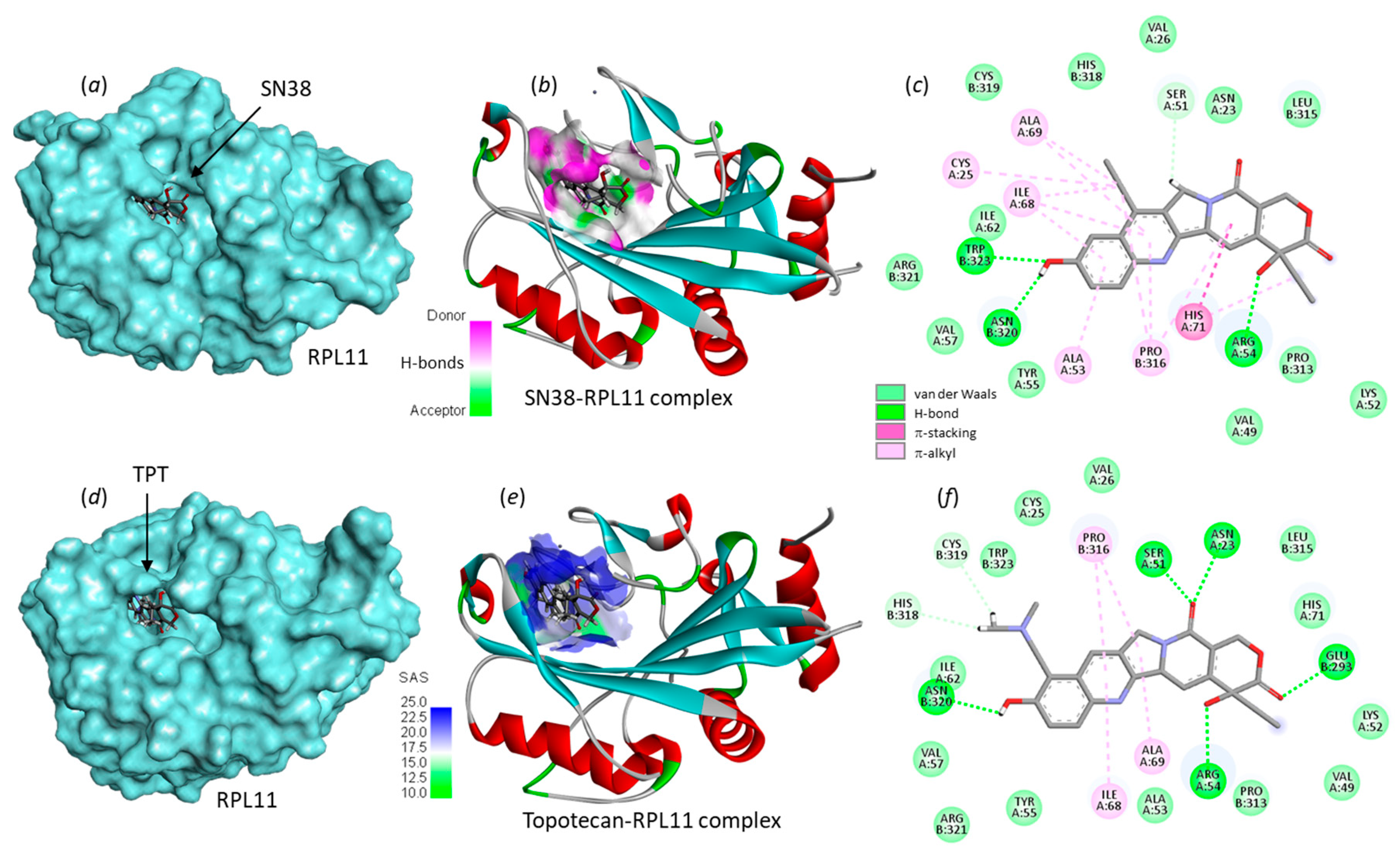 Molecules 28 01828 g007