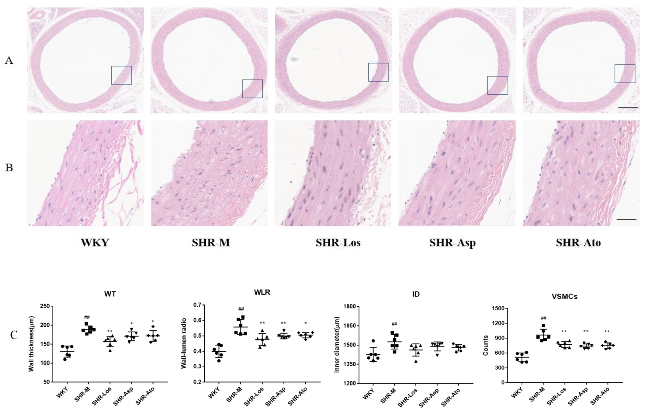 Molecules 28 01844 g001