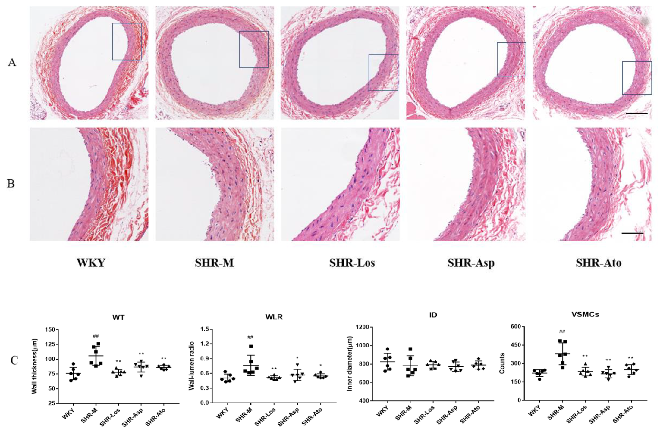 Molecules 28 01844 g002