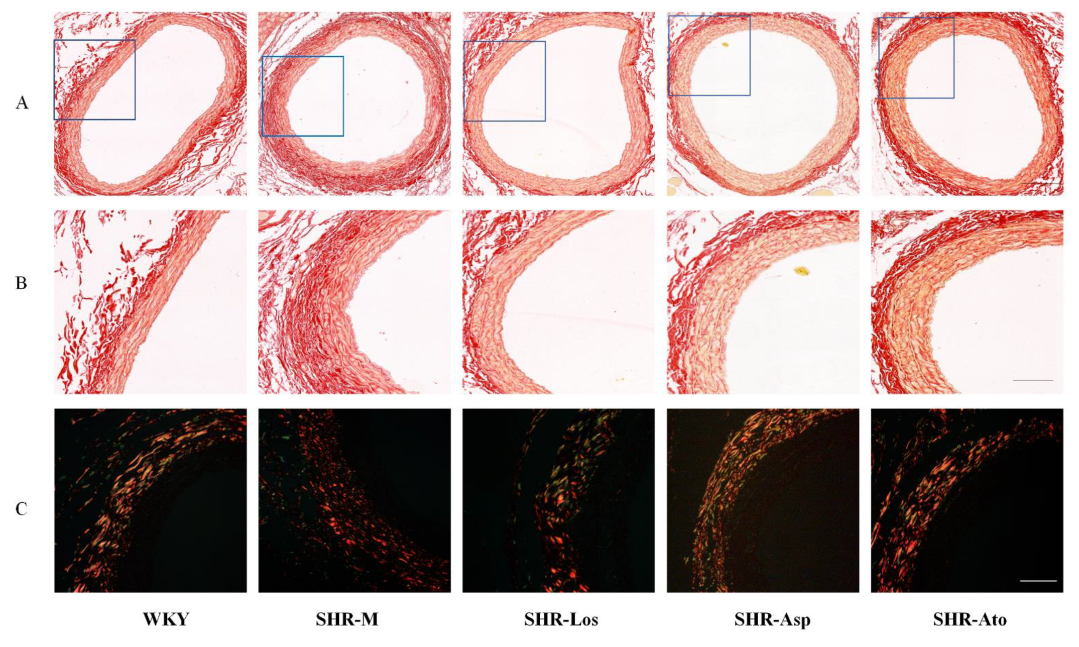 Molecules 28 01844 g005a