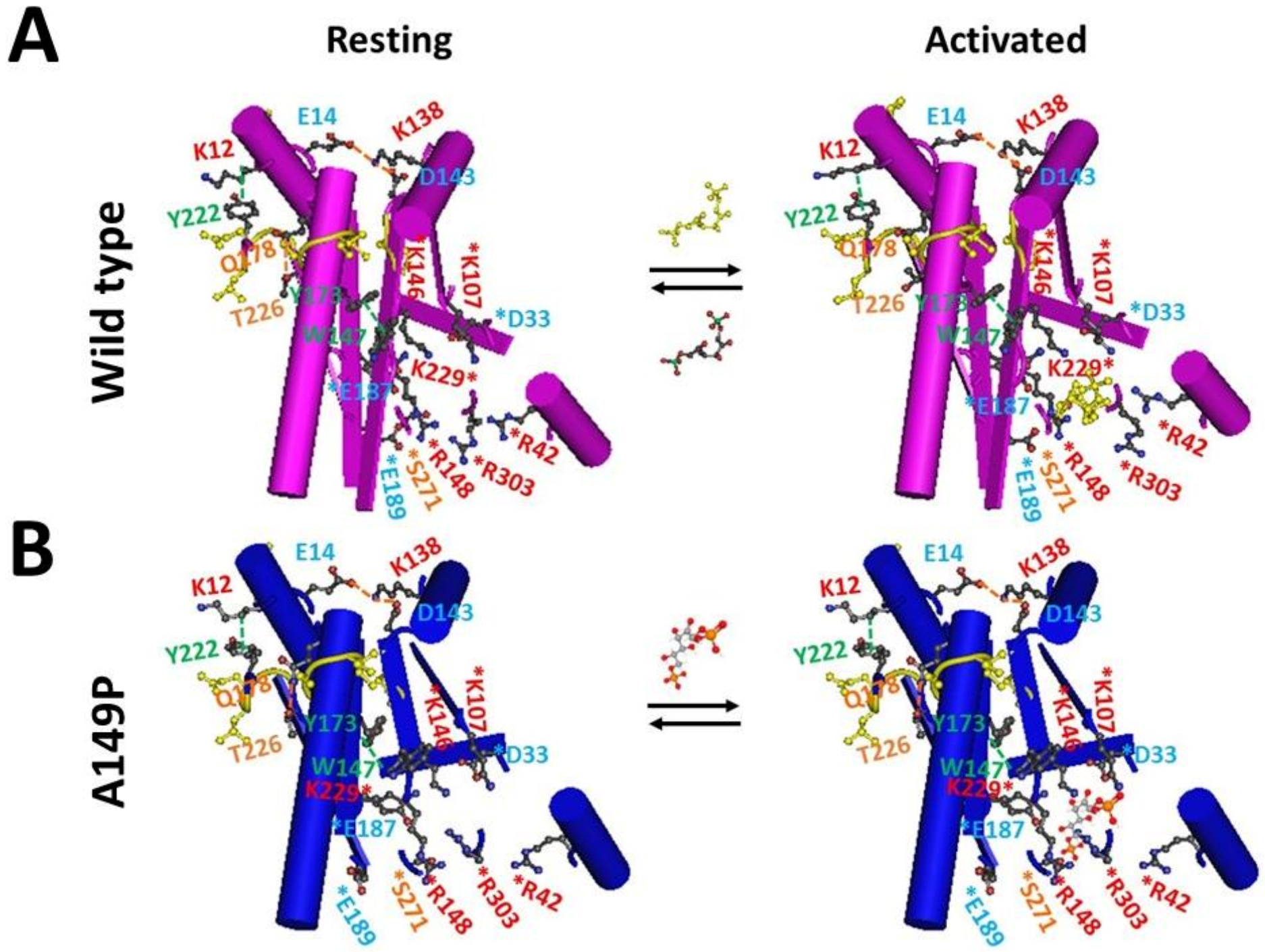 Molecules 28 01850 g007 Molecules 28 01850 g007