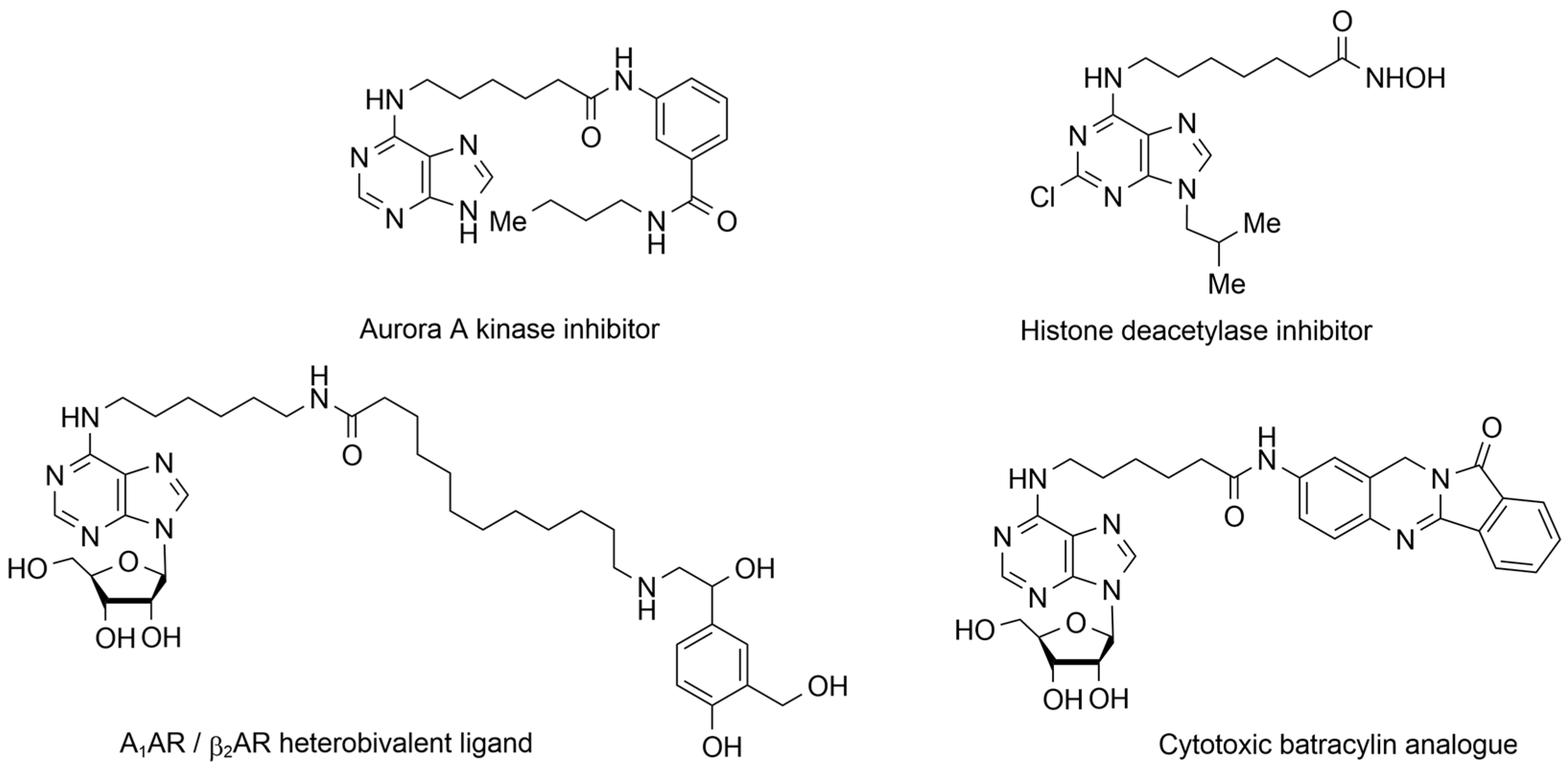Molecules 28 01853 g002 Molecules 28 01853 g002