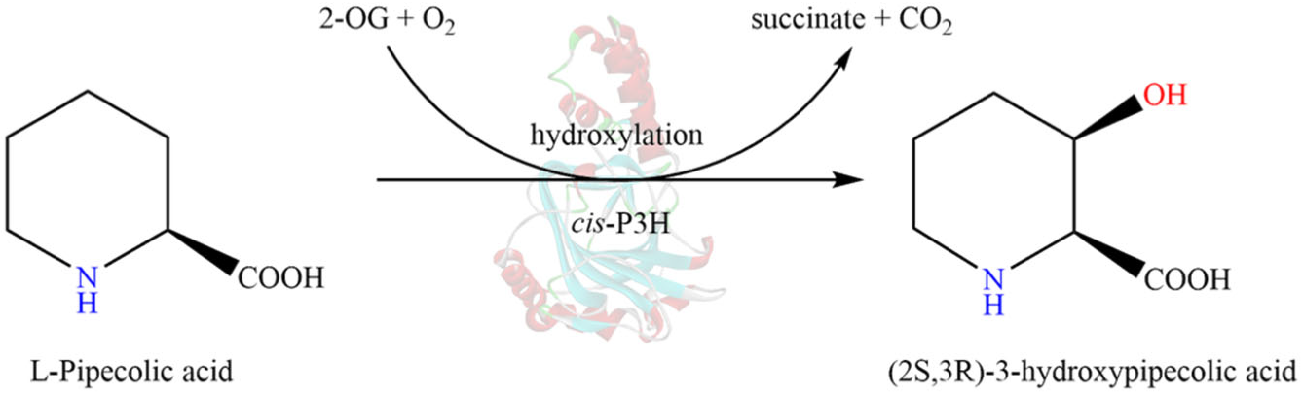 Molecules 28 01854 g001