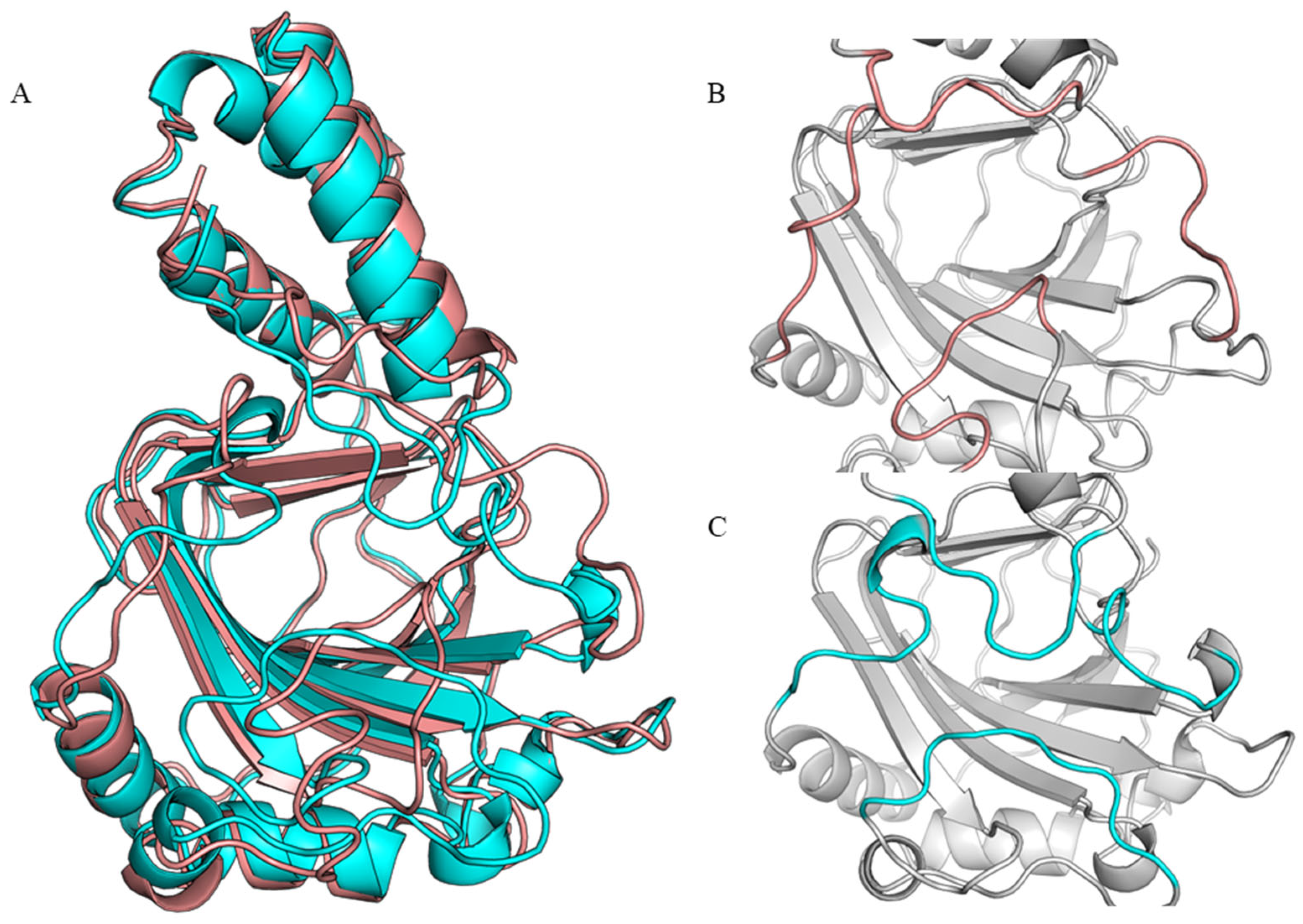 Molecules 28 01854 g003