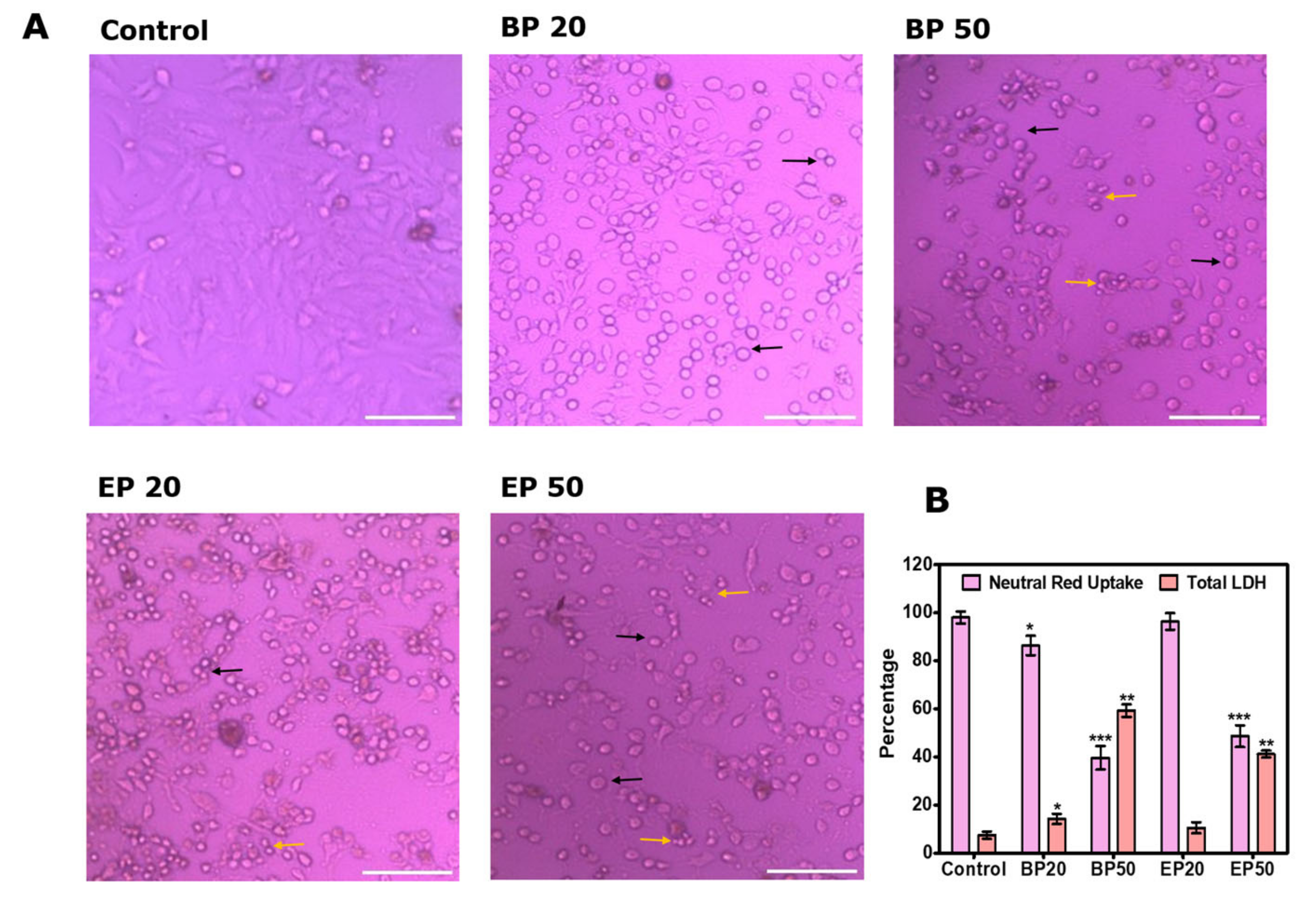 Molecules 28 01856 g003