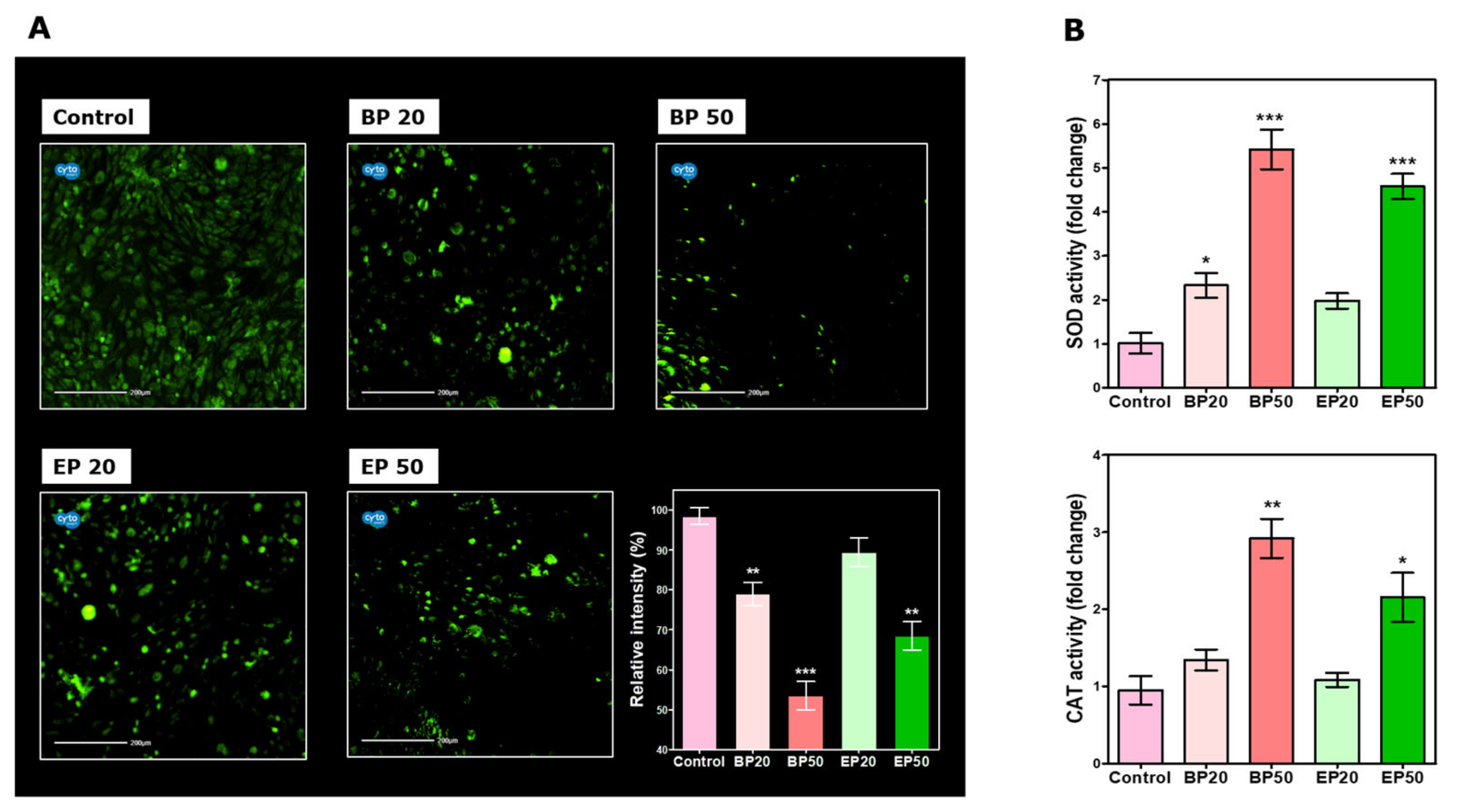 Molecules 28 01856 g004