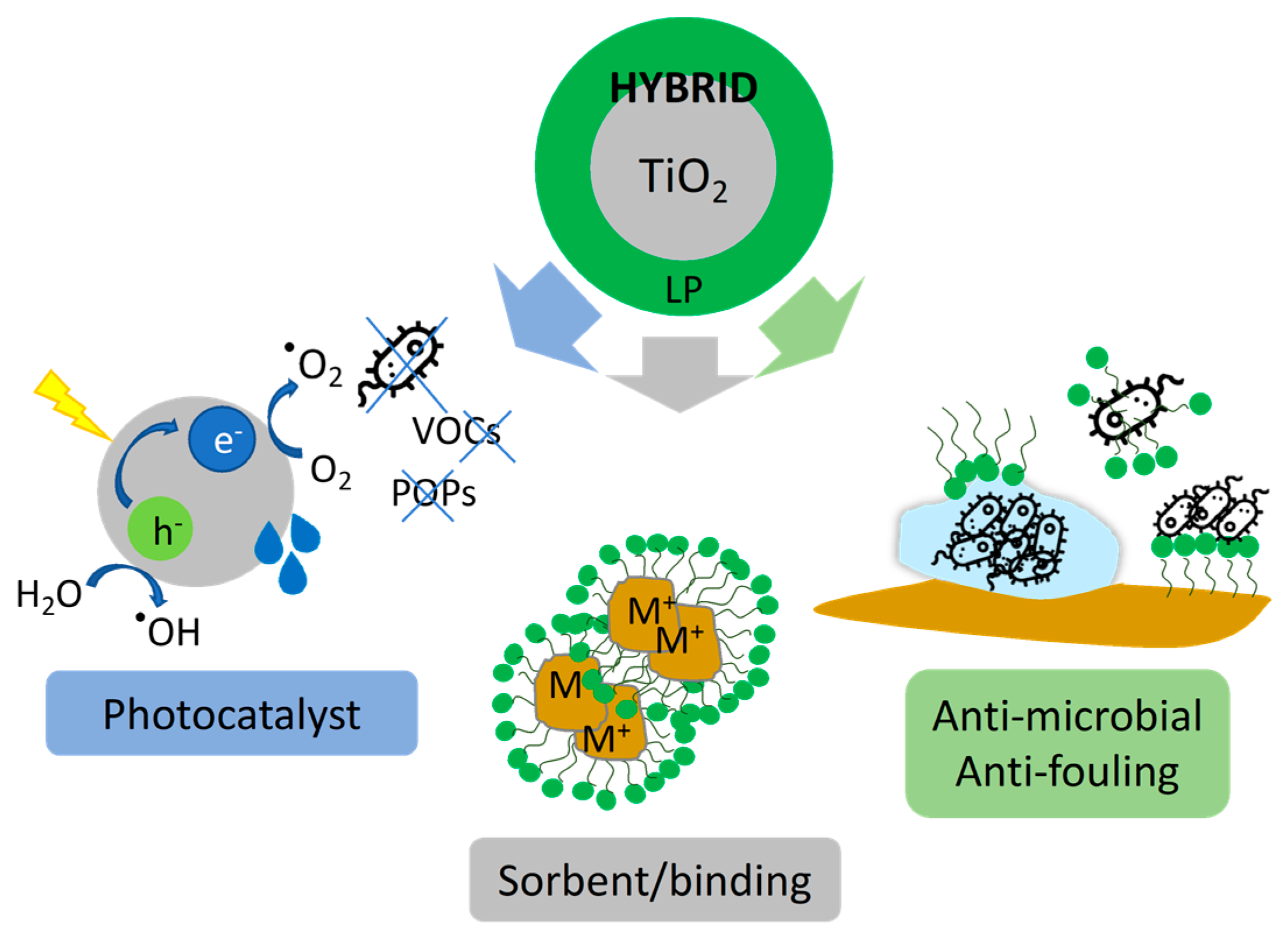 Molecules 28 01863 sch001