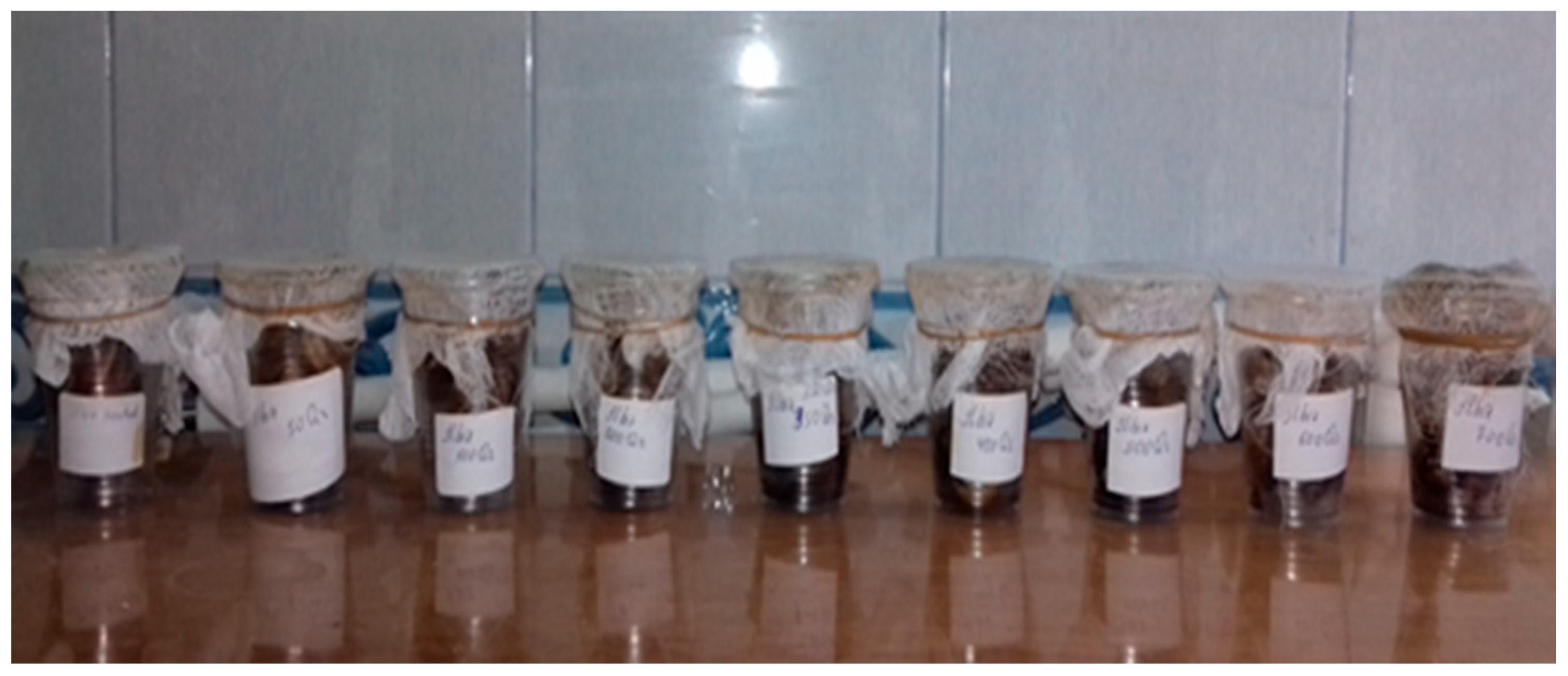 Molecules 28 01872 g008