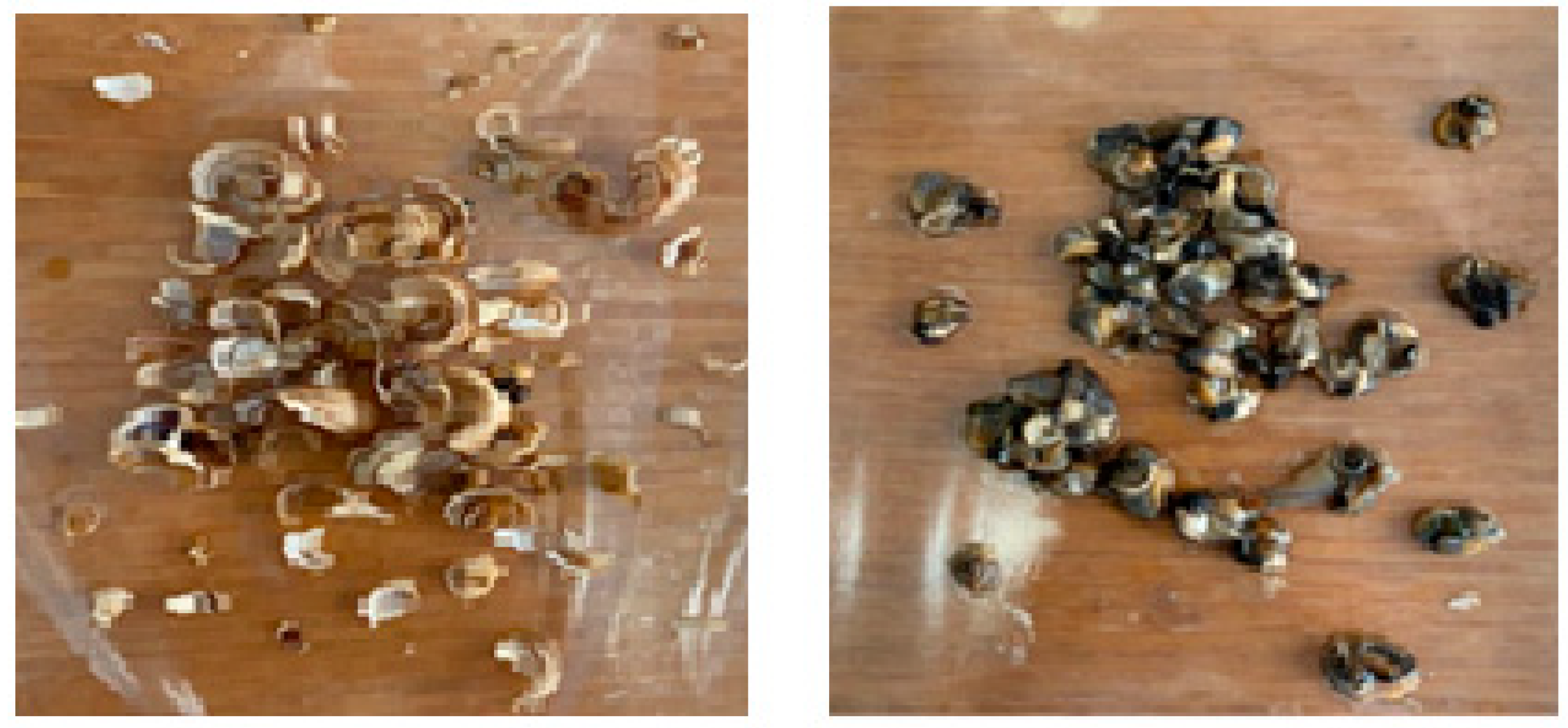 Molecules 28 01872 g009