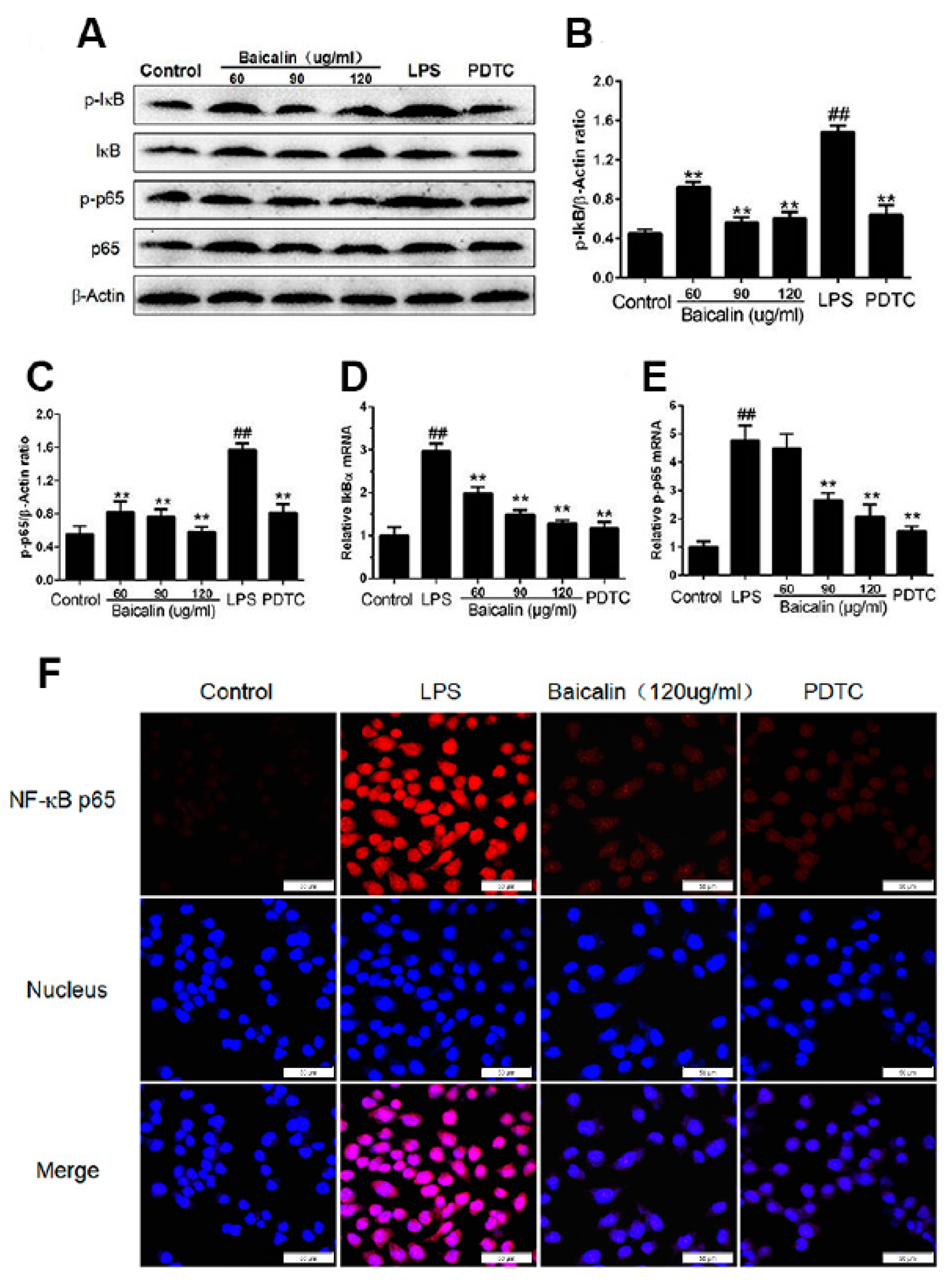 Molecules 28 01873 g002