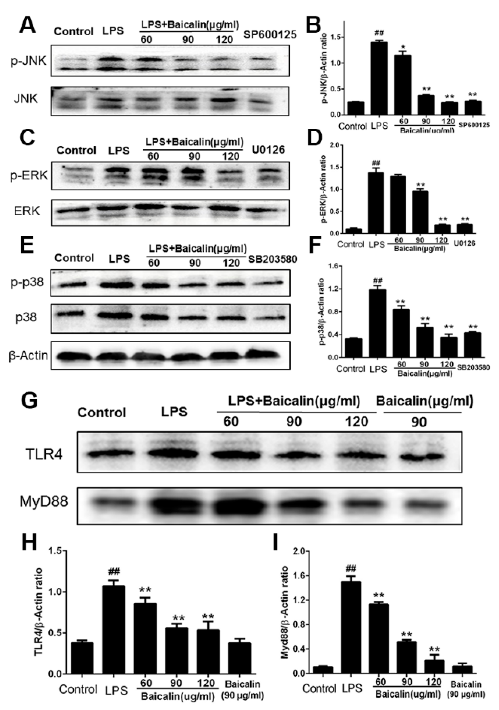 Molecules 28 01873 g003