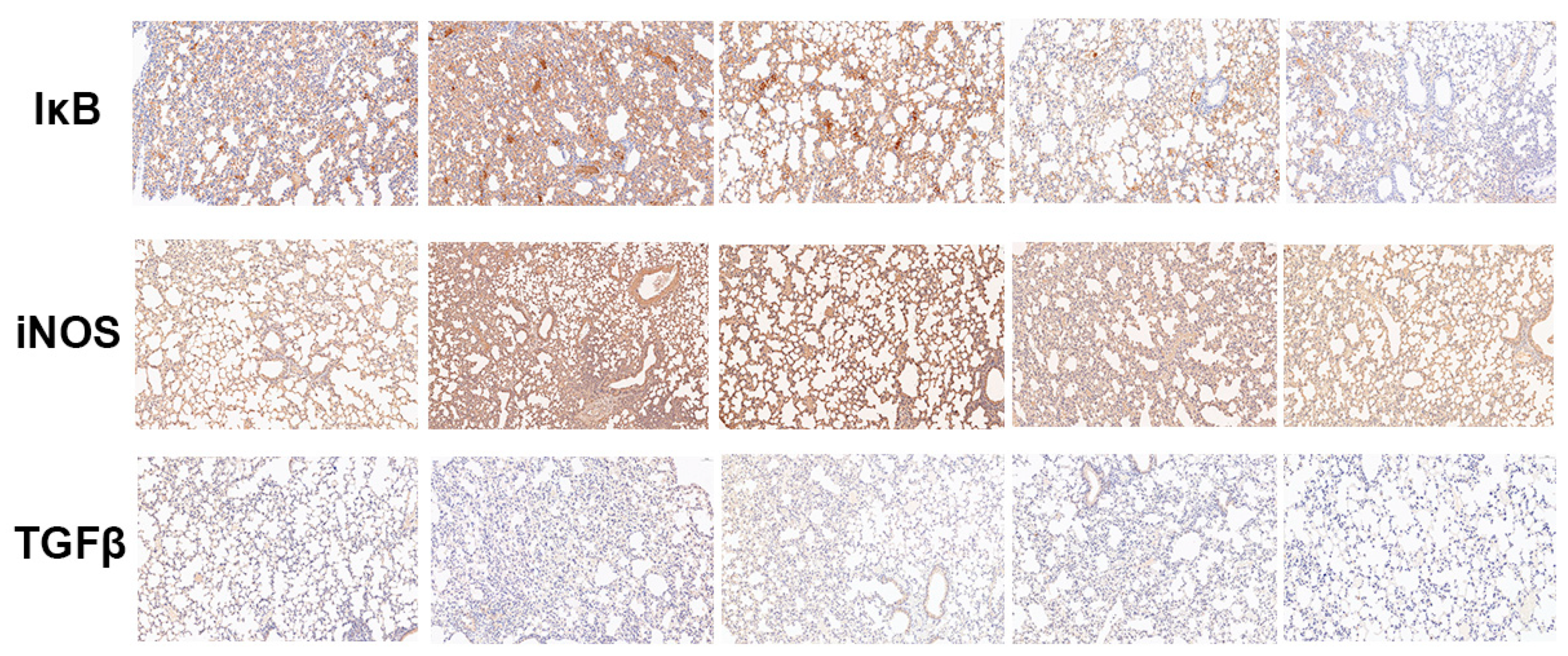 Molecules 28 01873 g007