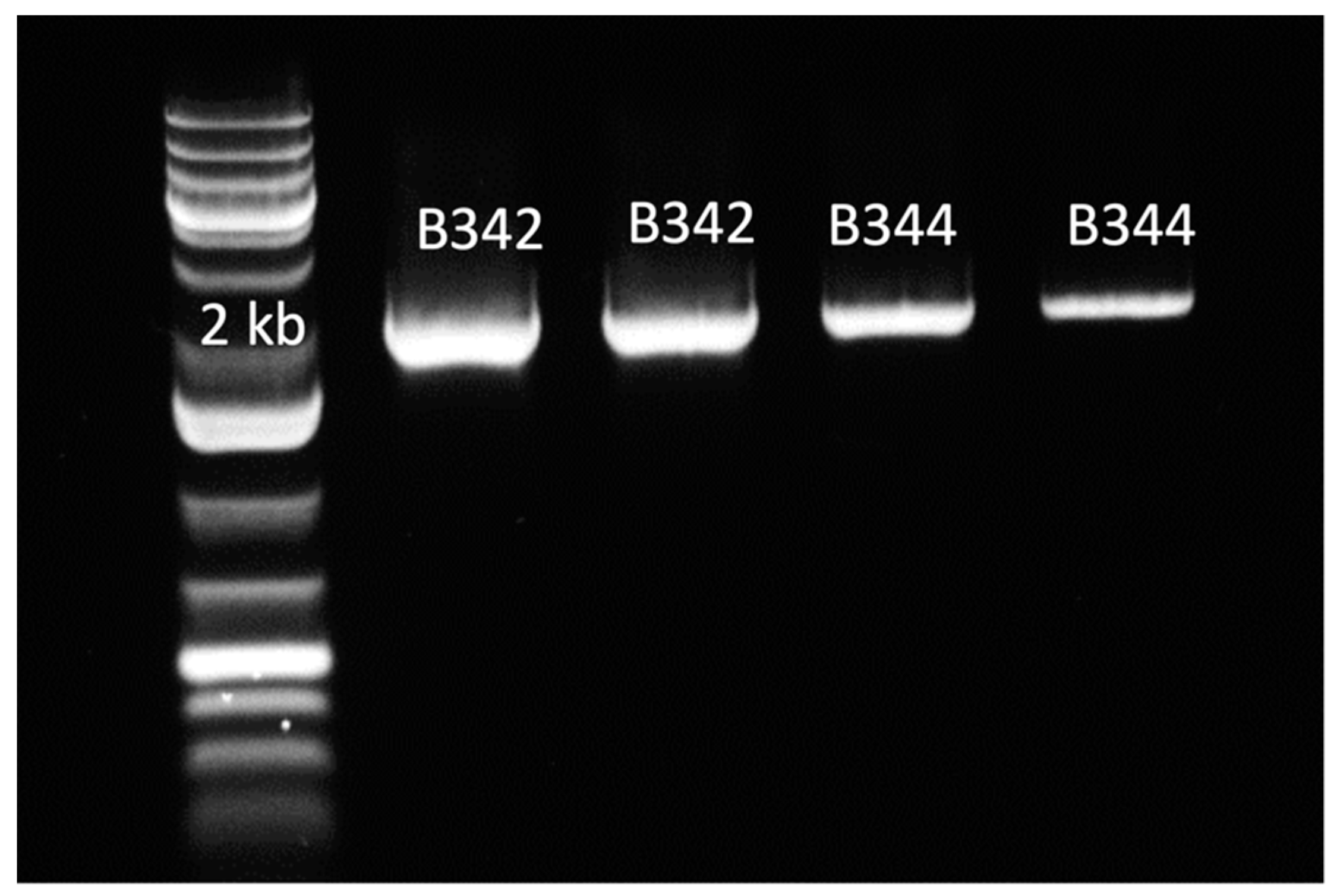 Molecules 28 01881 g001