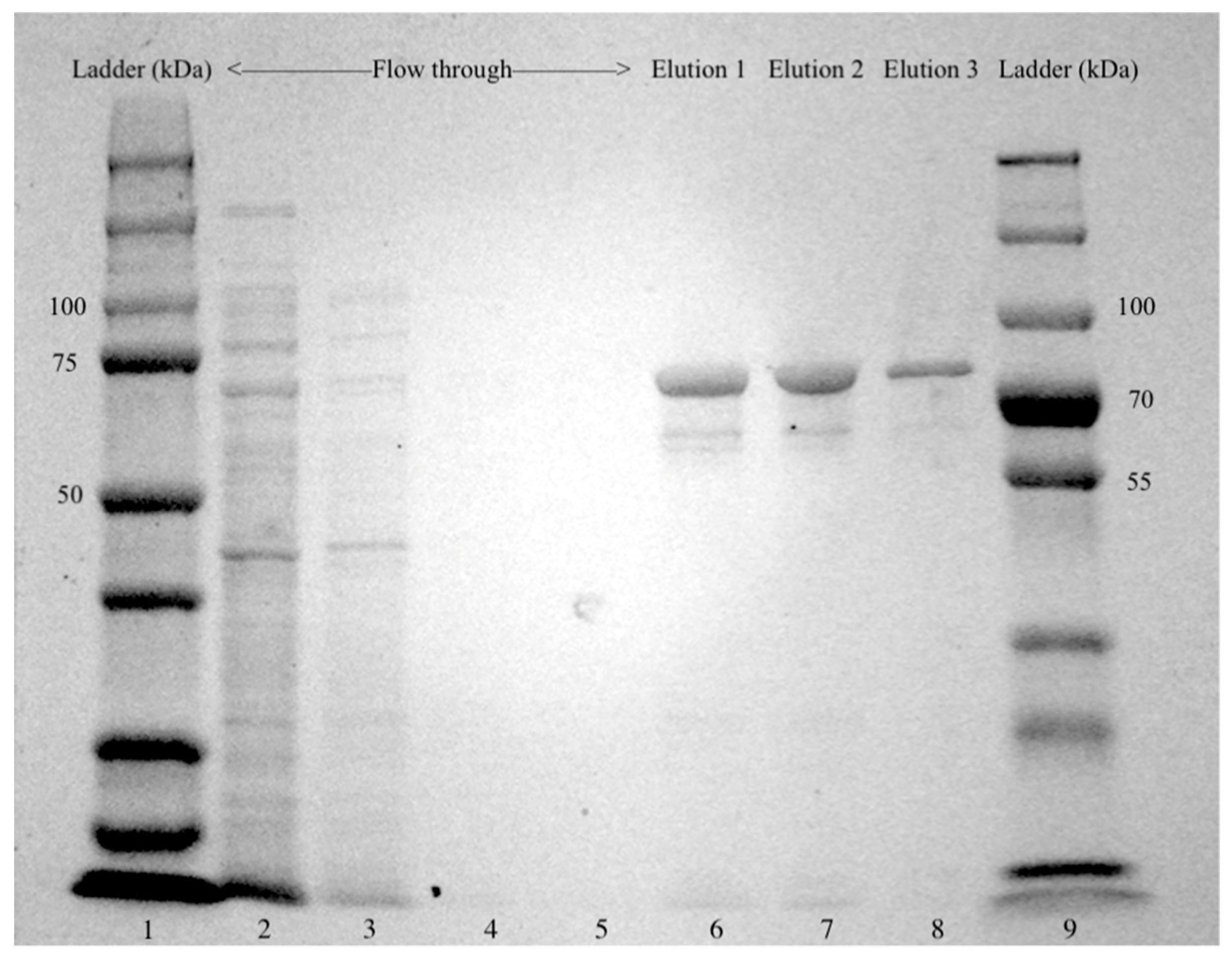 Molecules 28 01881 g002