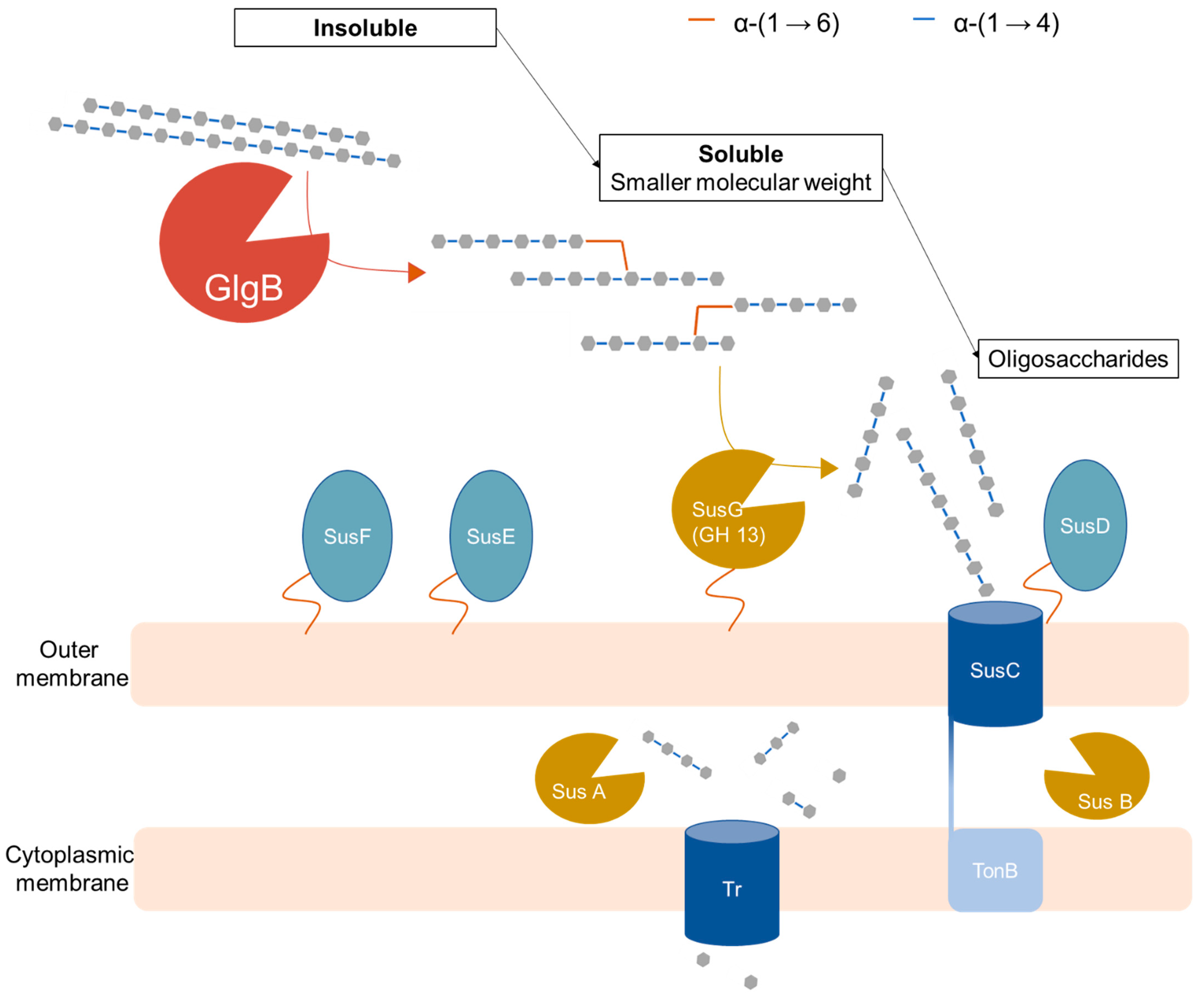 Molecules 28 01881 g005