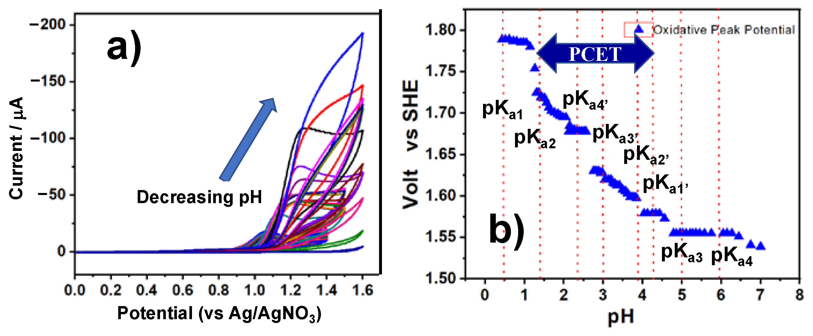 Molecules 28 01882 g006