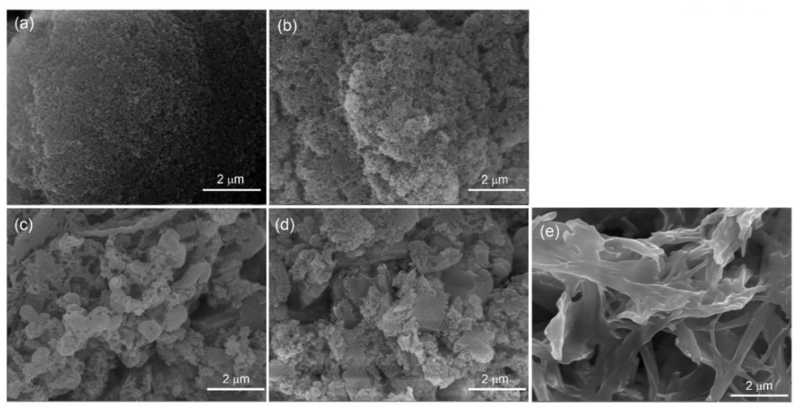 Molecules 28 01886 g005 Molecules 28 01886 g005