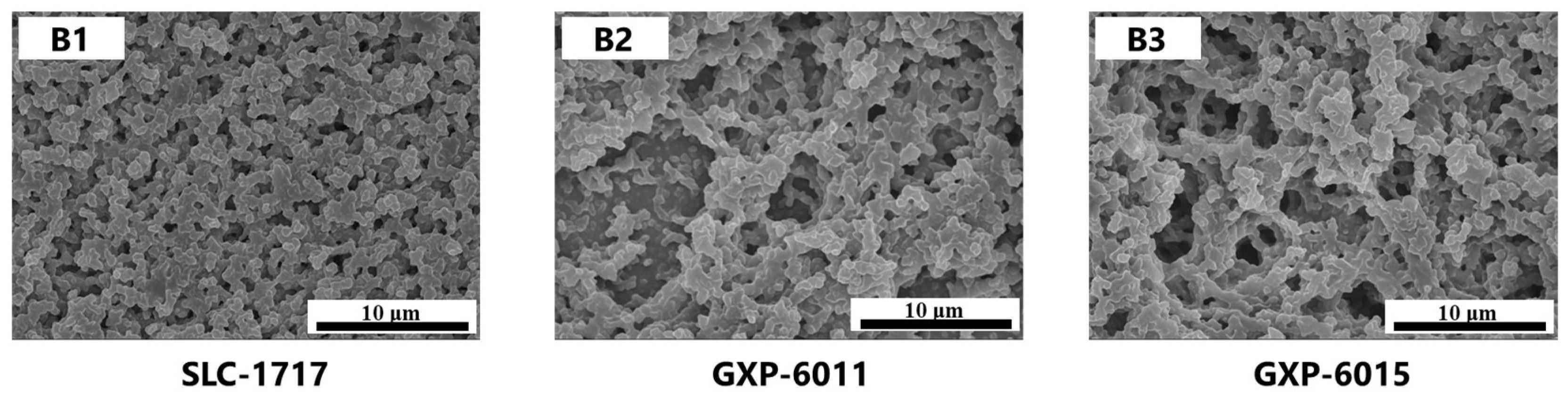 Molecules 28 01887 g003 Molecules 28 01887 g003