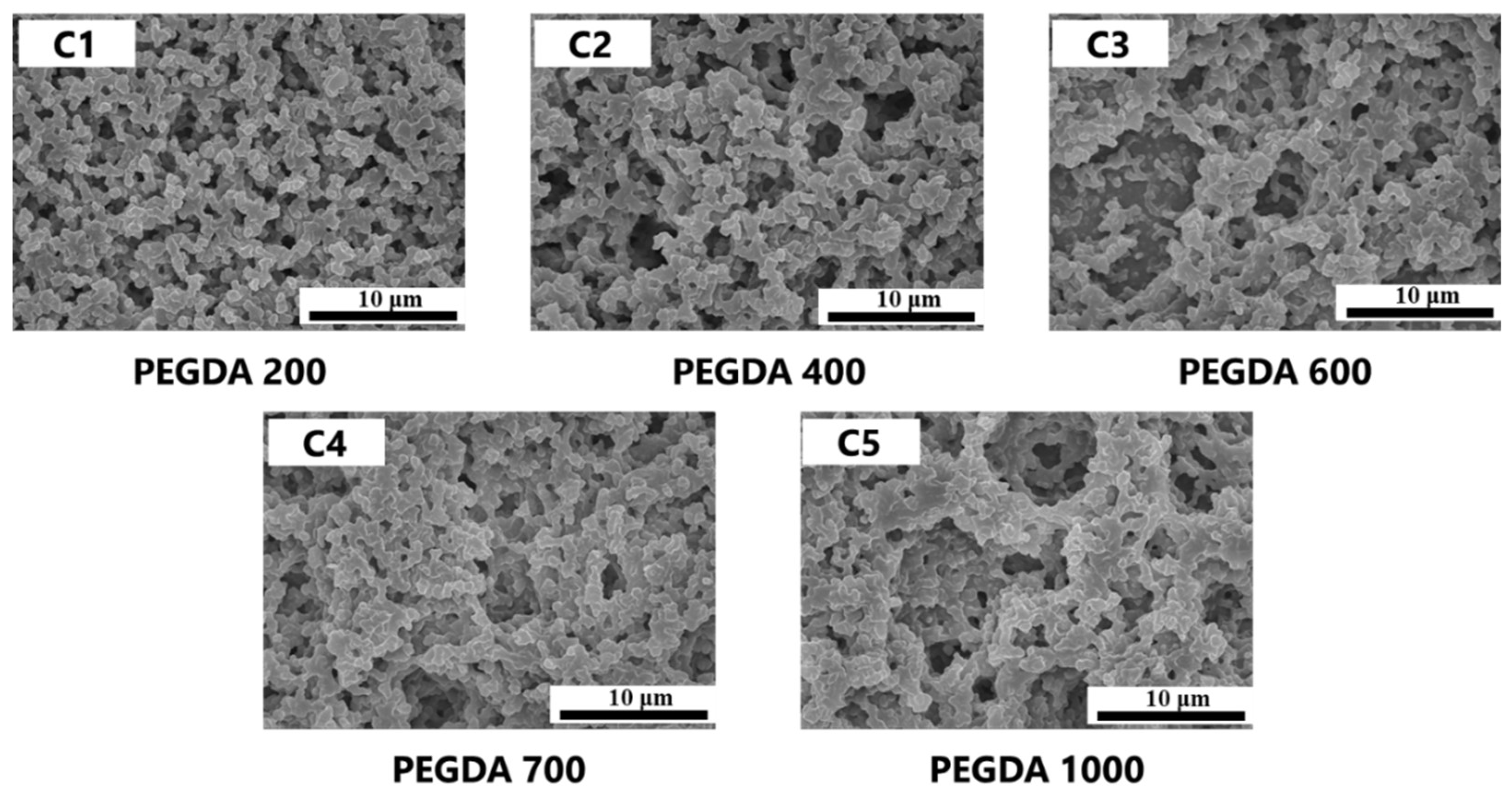 Molecules 28 01887 g005 Molecules 28 01887 g005