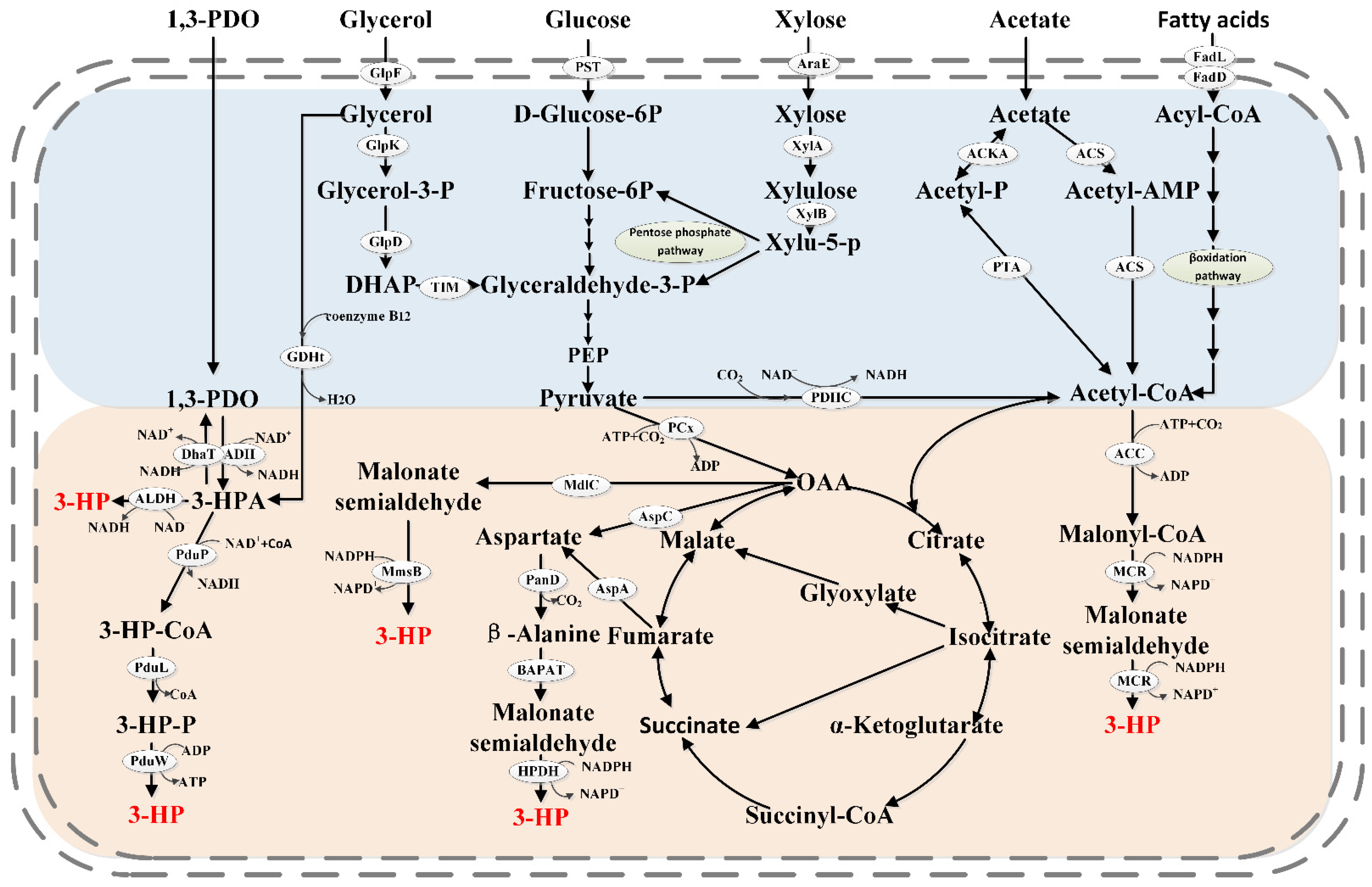 Molecules 28 01888 g001 Molecules 28 01888 g001