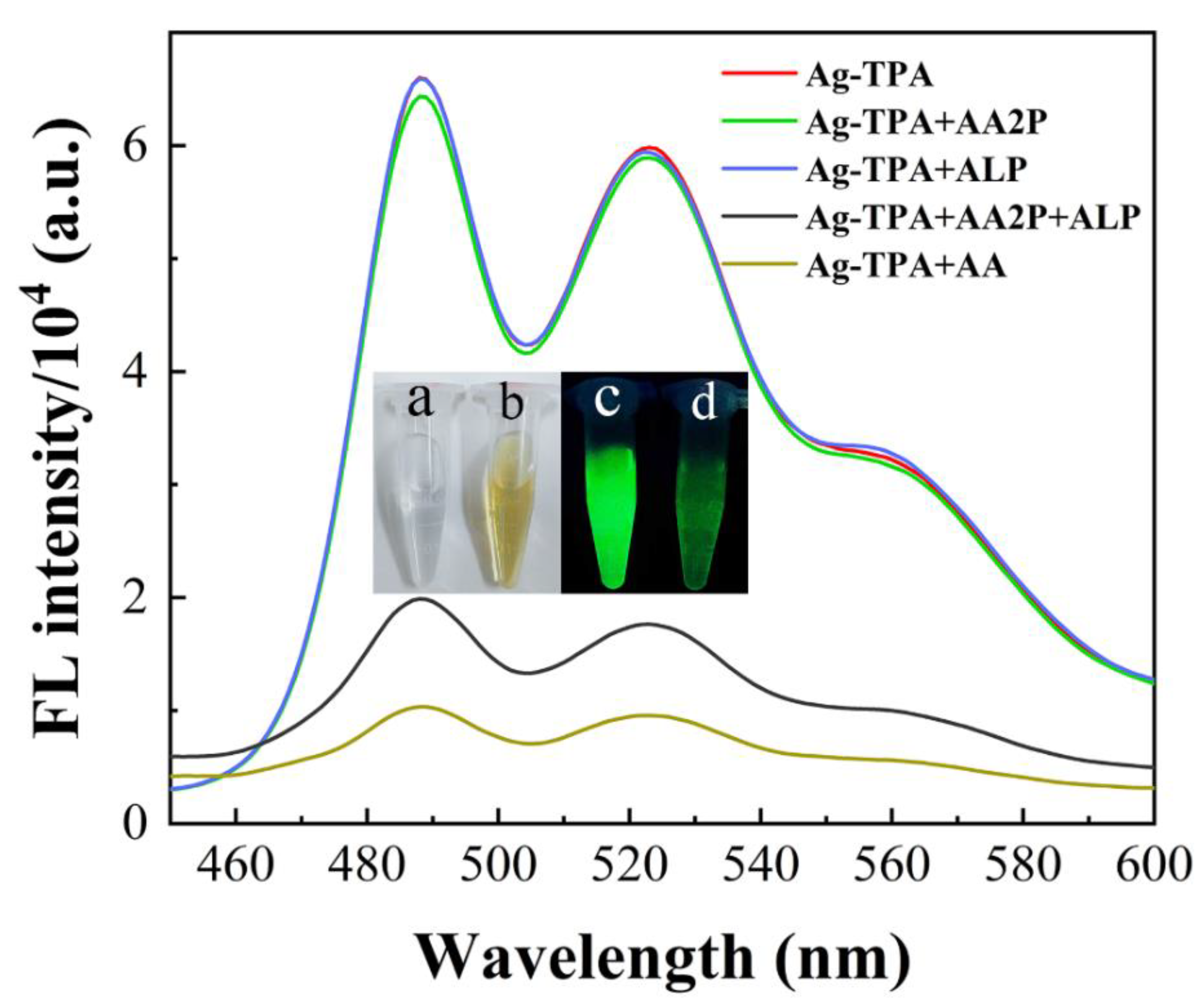 Molecules 28 01892 g004
