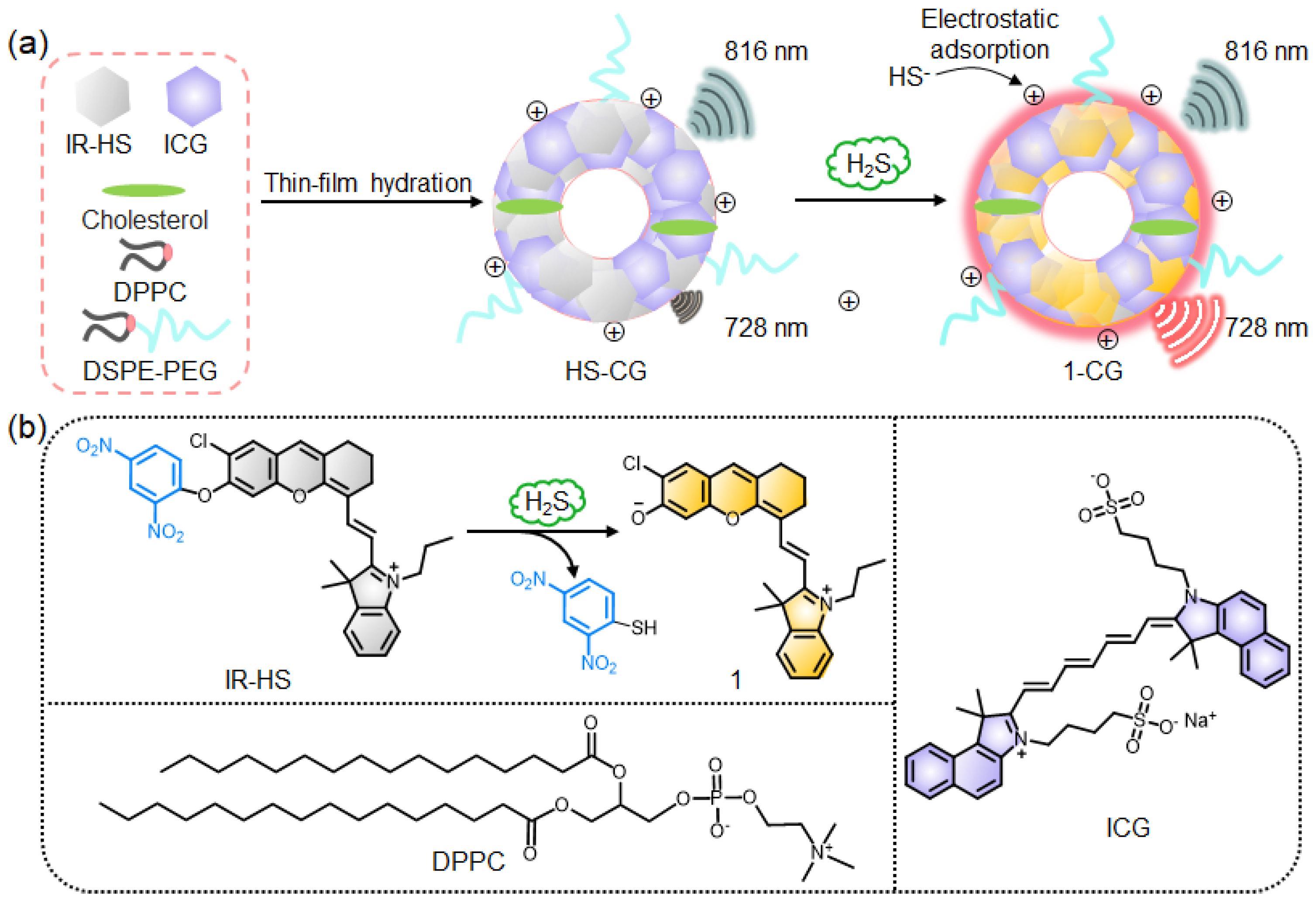 Molecules 28 01898 g001