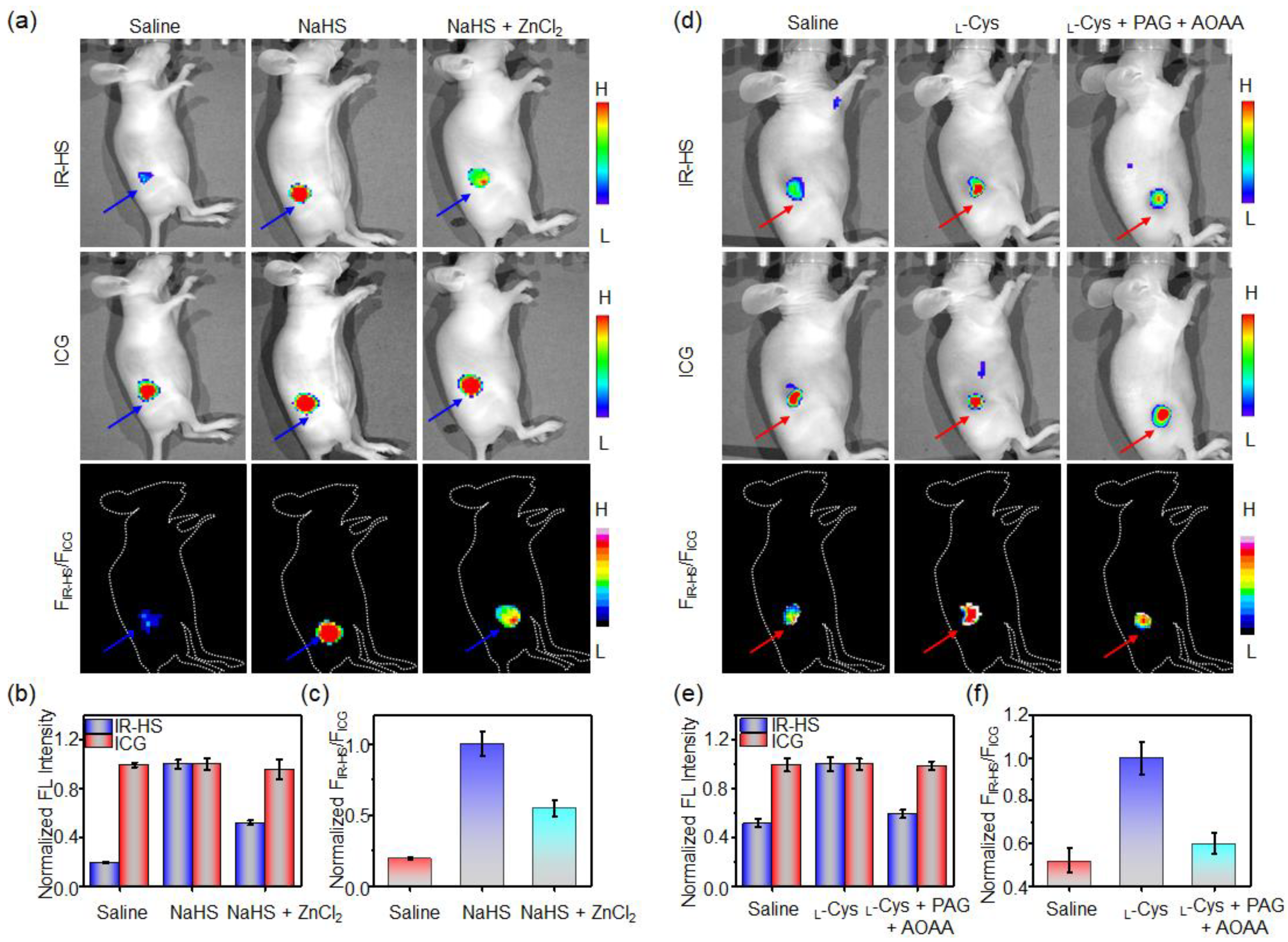 Molecules 28 01898 g005