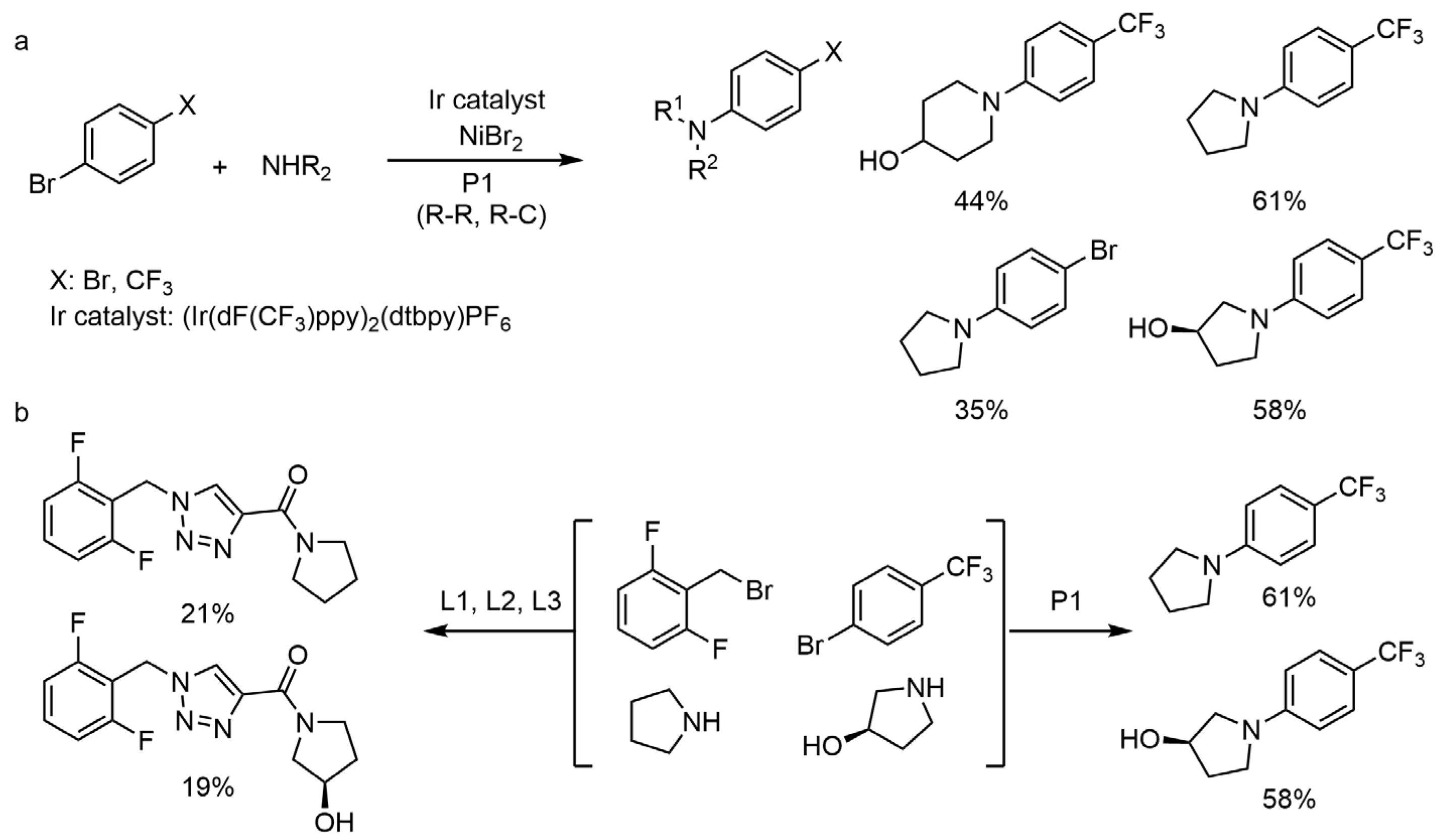 Molecules 28 01900 g006 Molecules 28 01900 g006