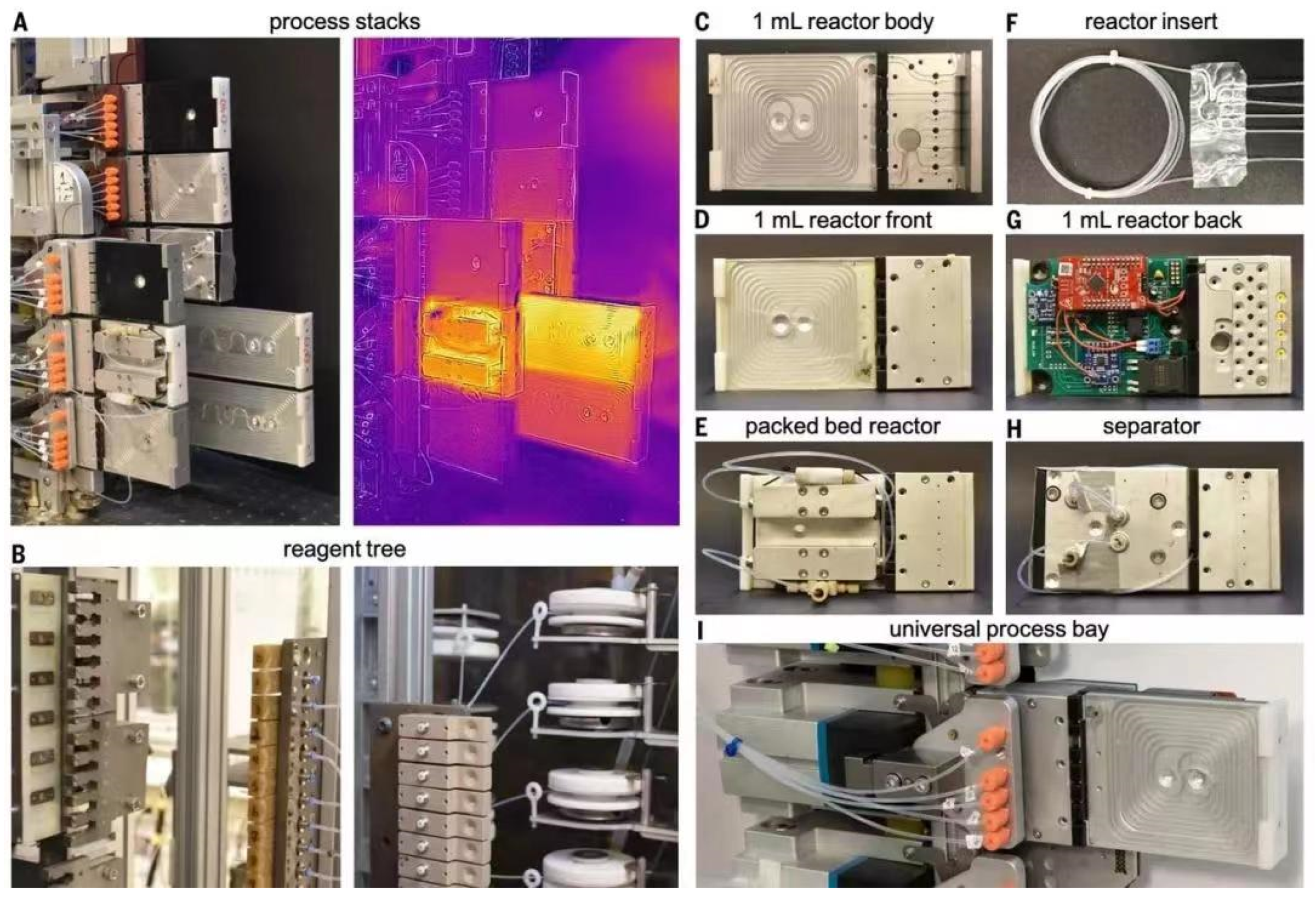 Molecules 28 01900 g014 Molecules 28 01900 g014