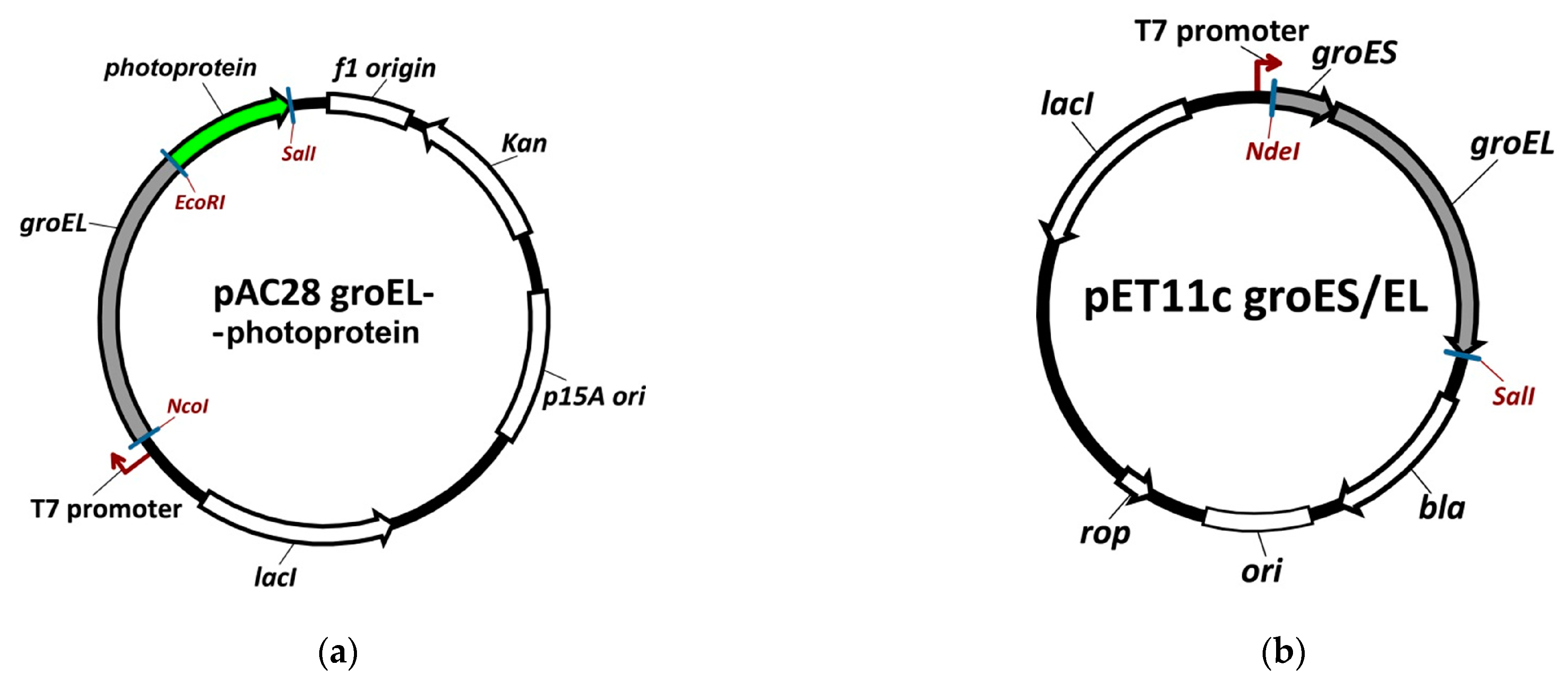 Molecules 28 01901 g001a