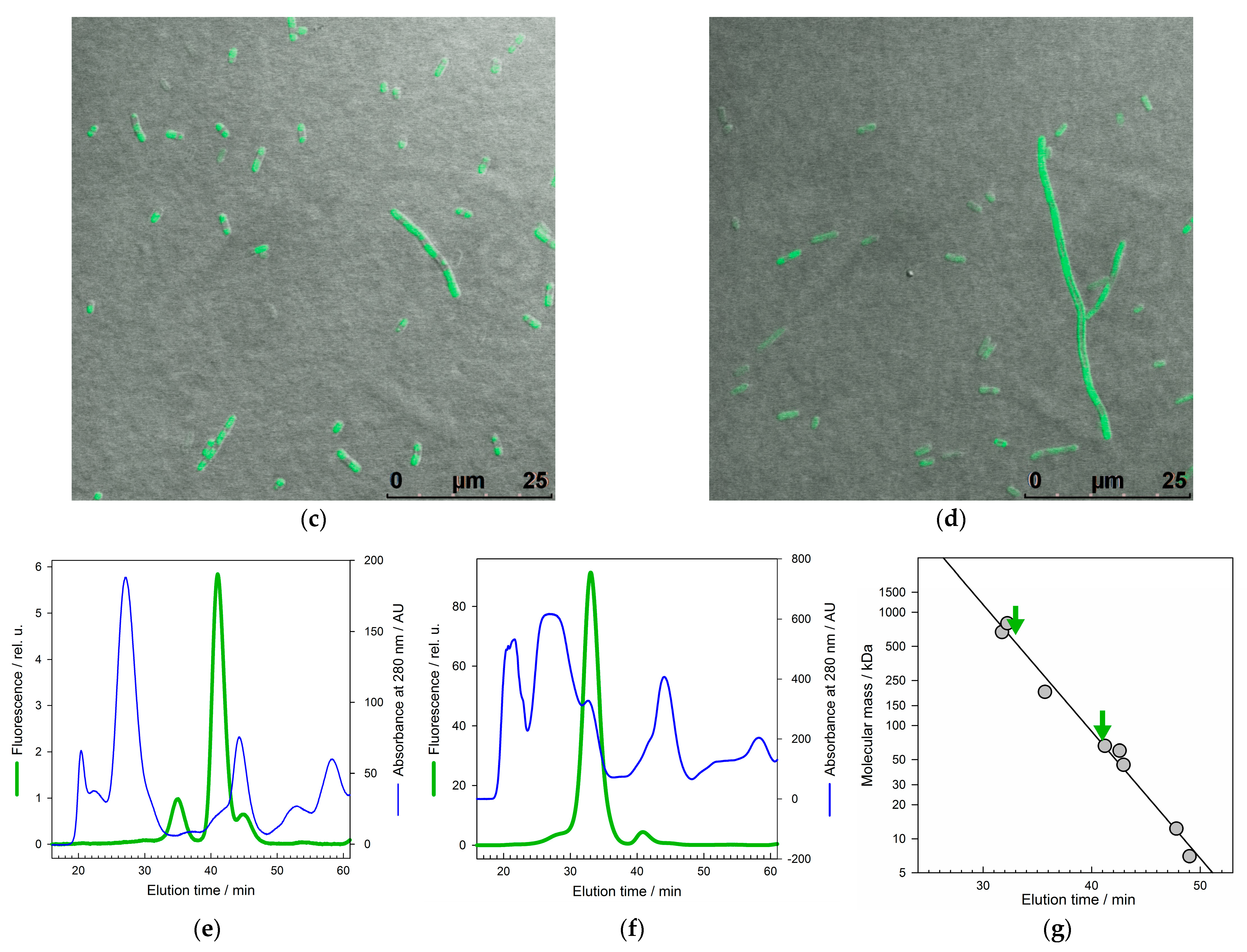 Molecules 28 01901 g001b