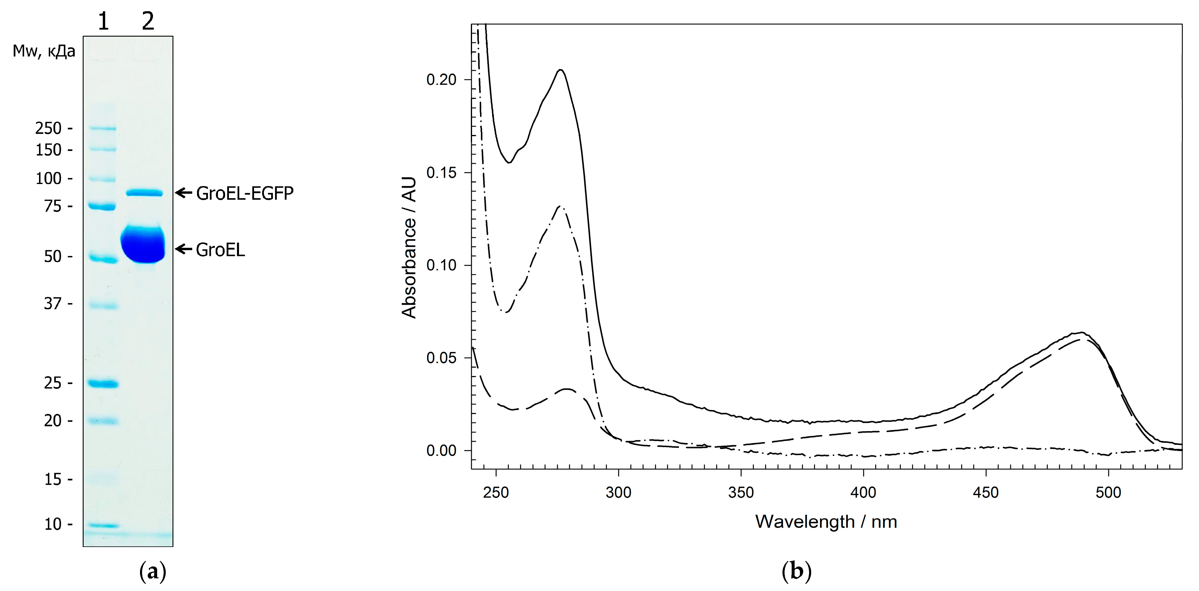 Molecules 28 01901 g002