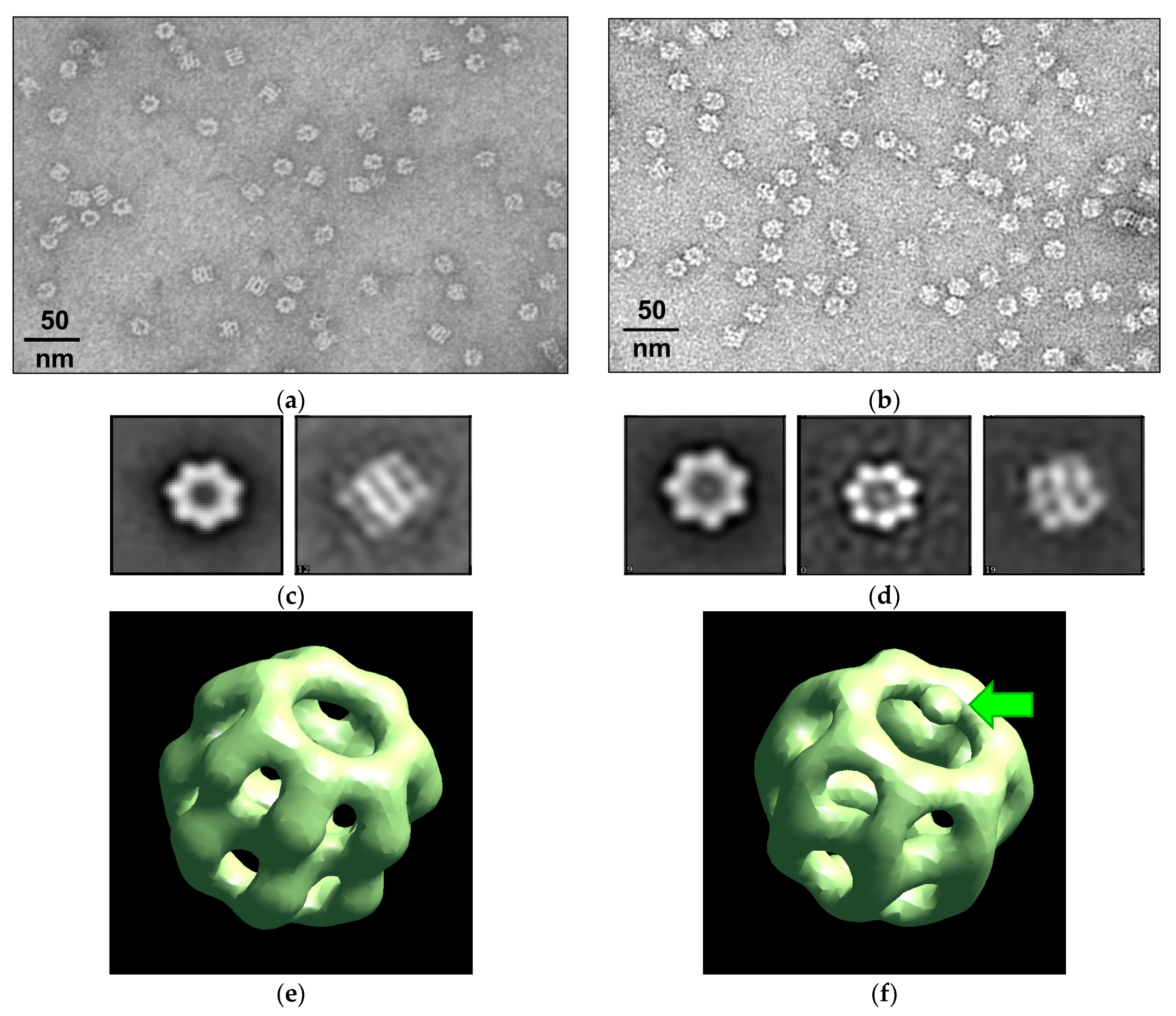 Molecules 28 01901 g004