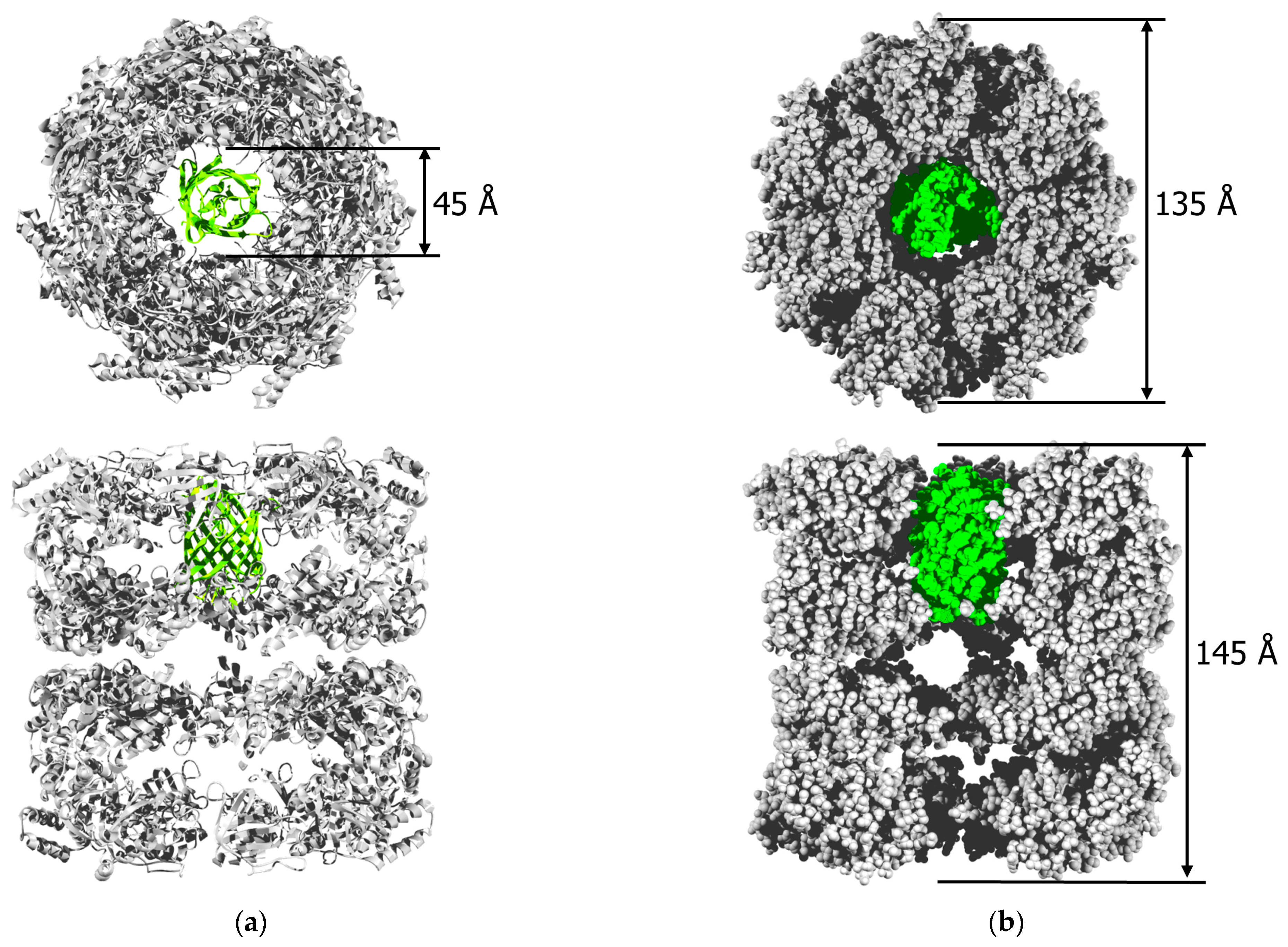 Molecules 28 01901 g008