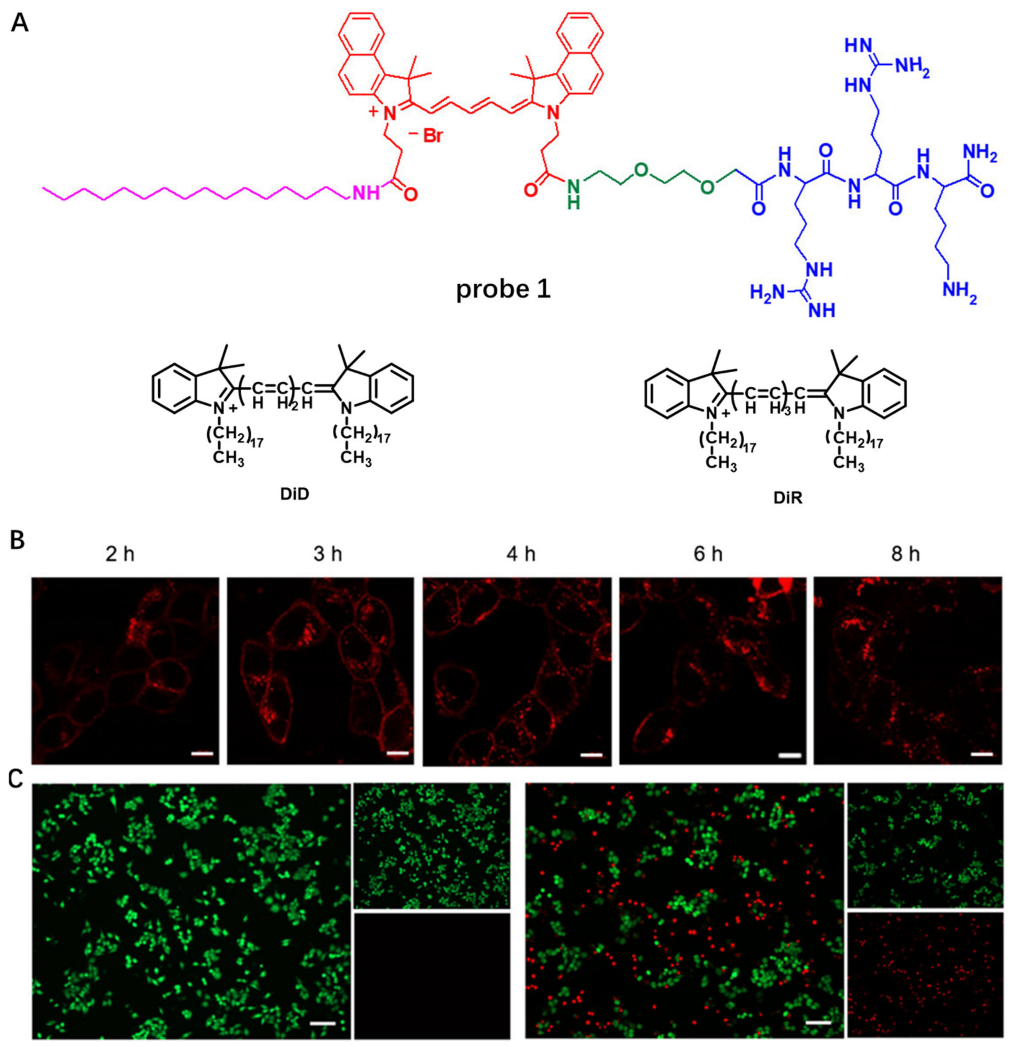 Molecules 28 01906 g001