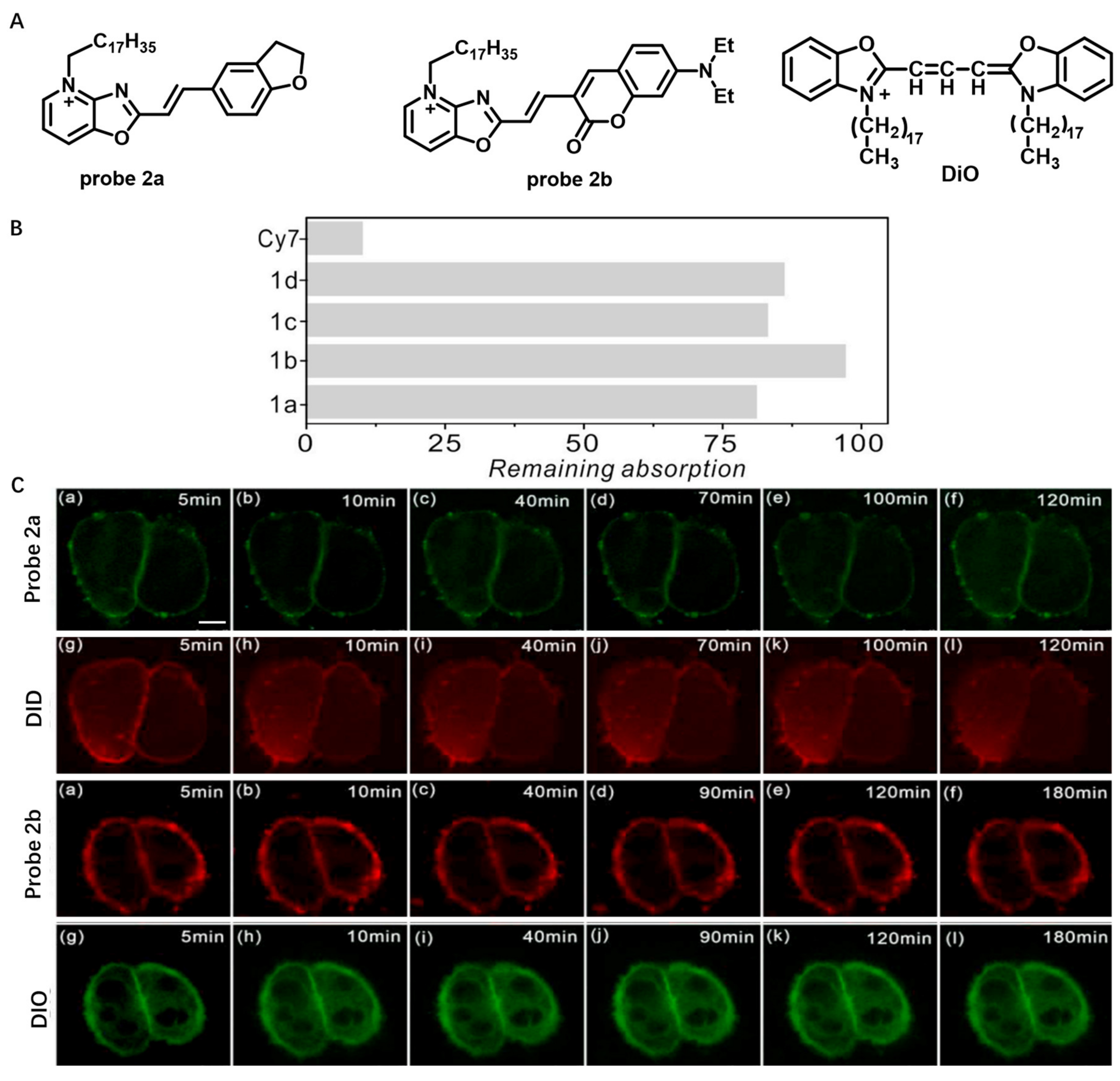 Molecules 28 01906 g002