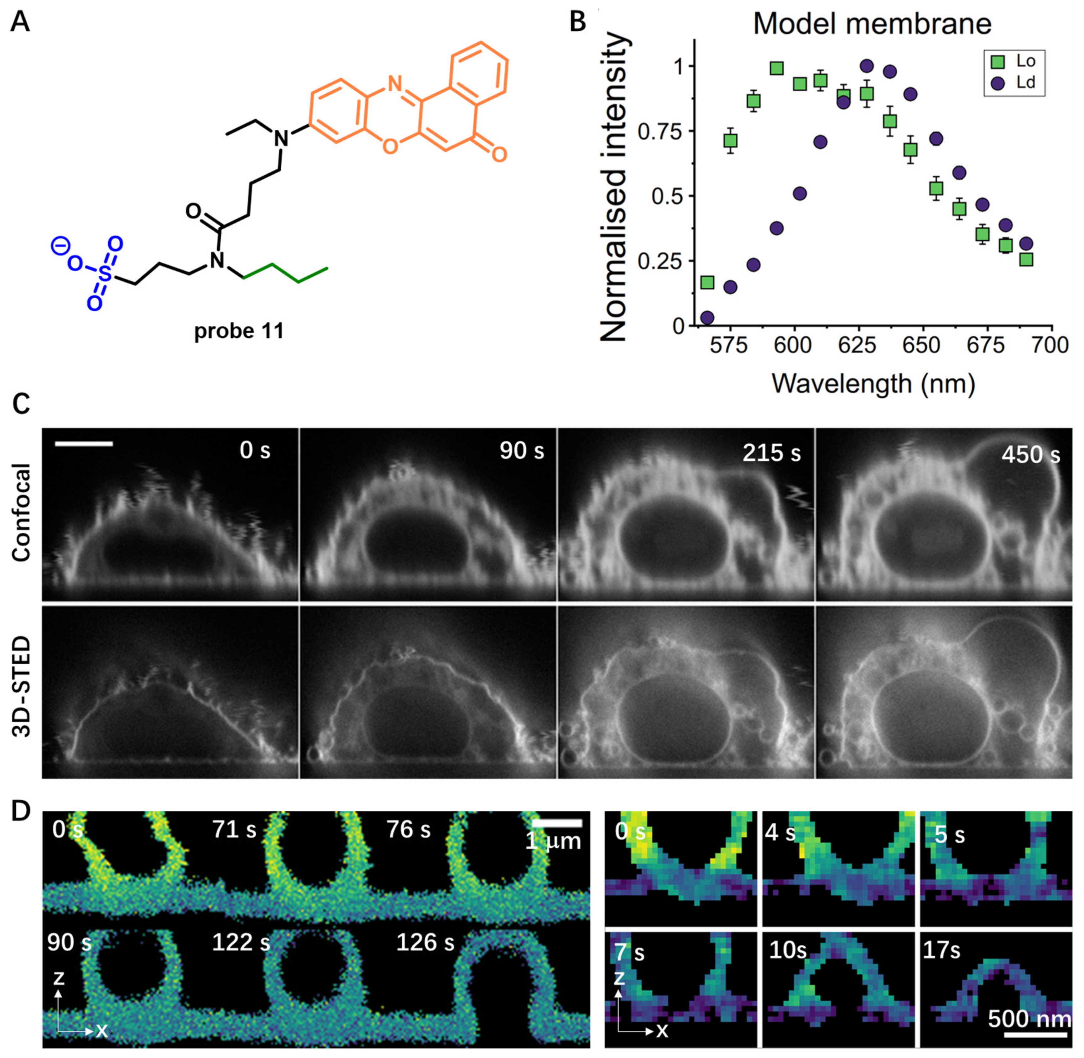 Molecules 28 01906 g011