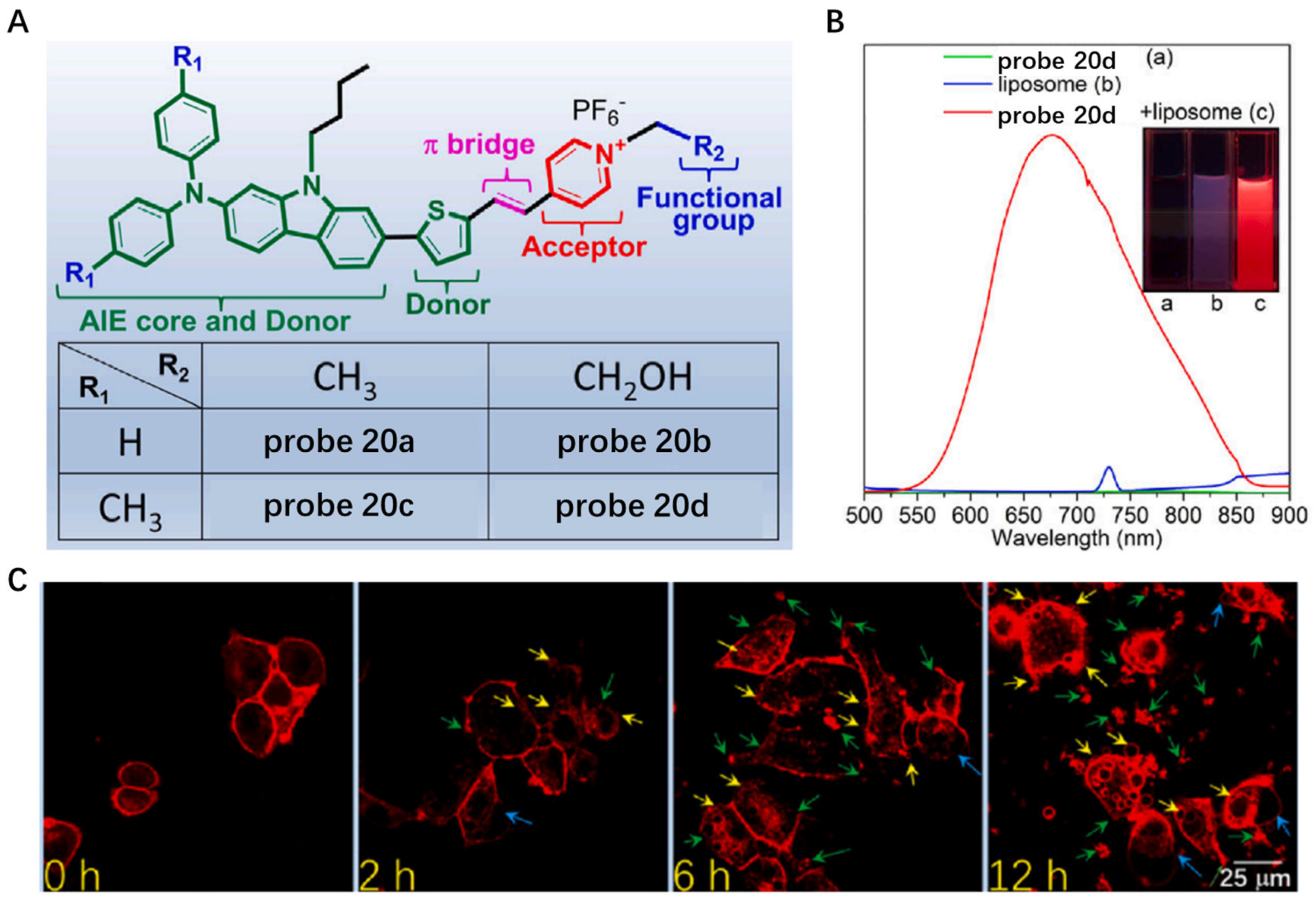 Molecules 28 01906 g020