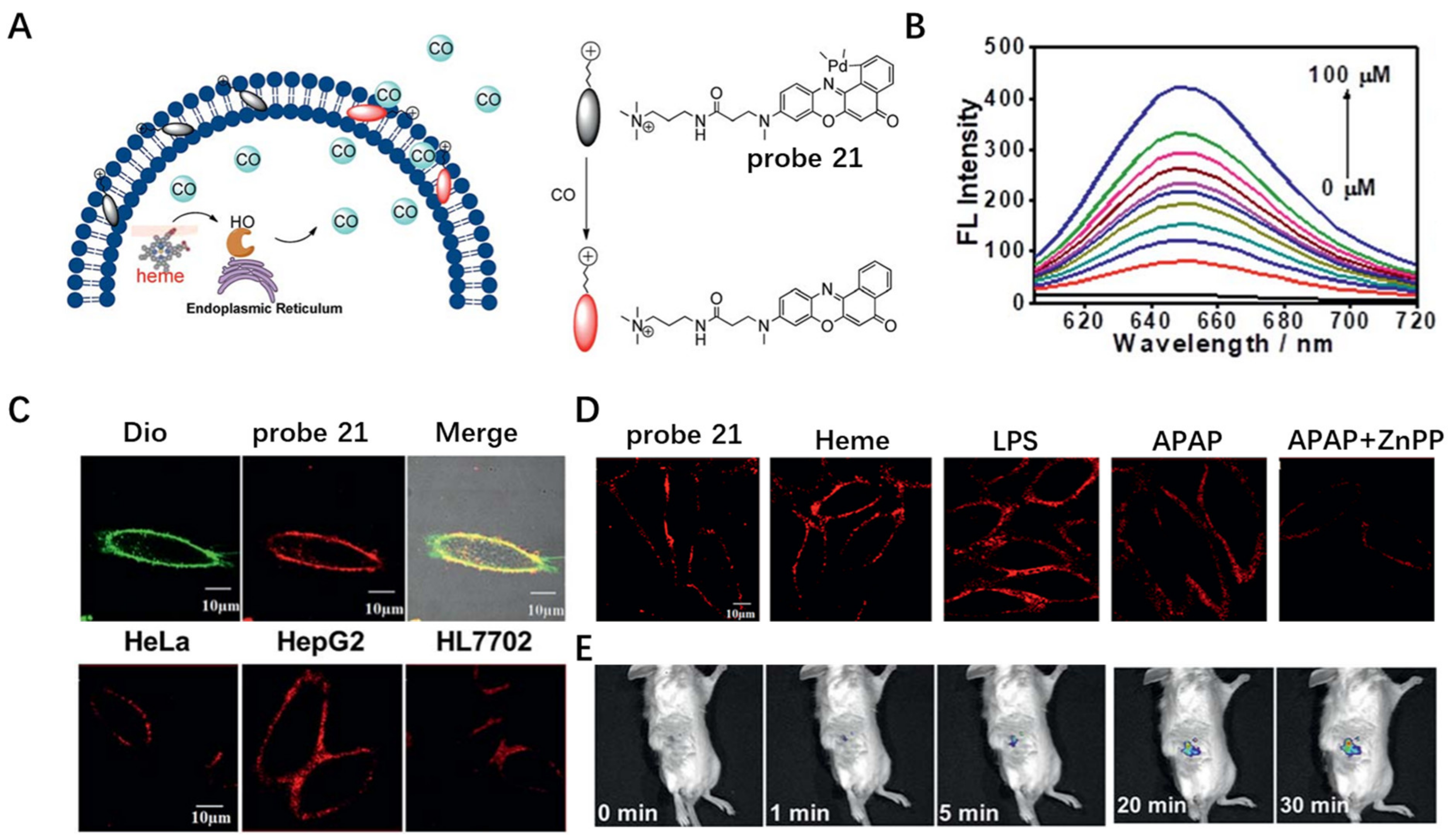 Molecules 28 01906 g021
