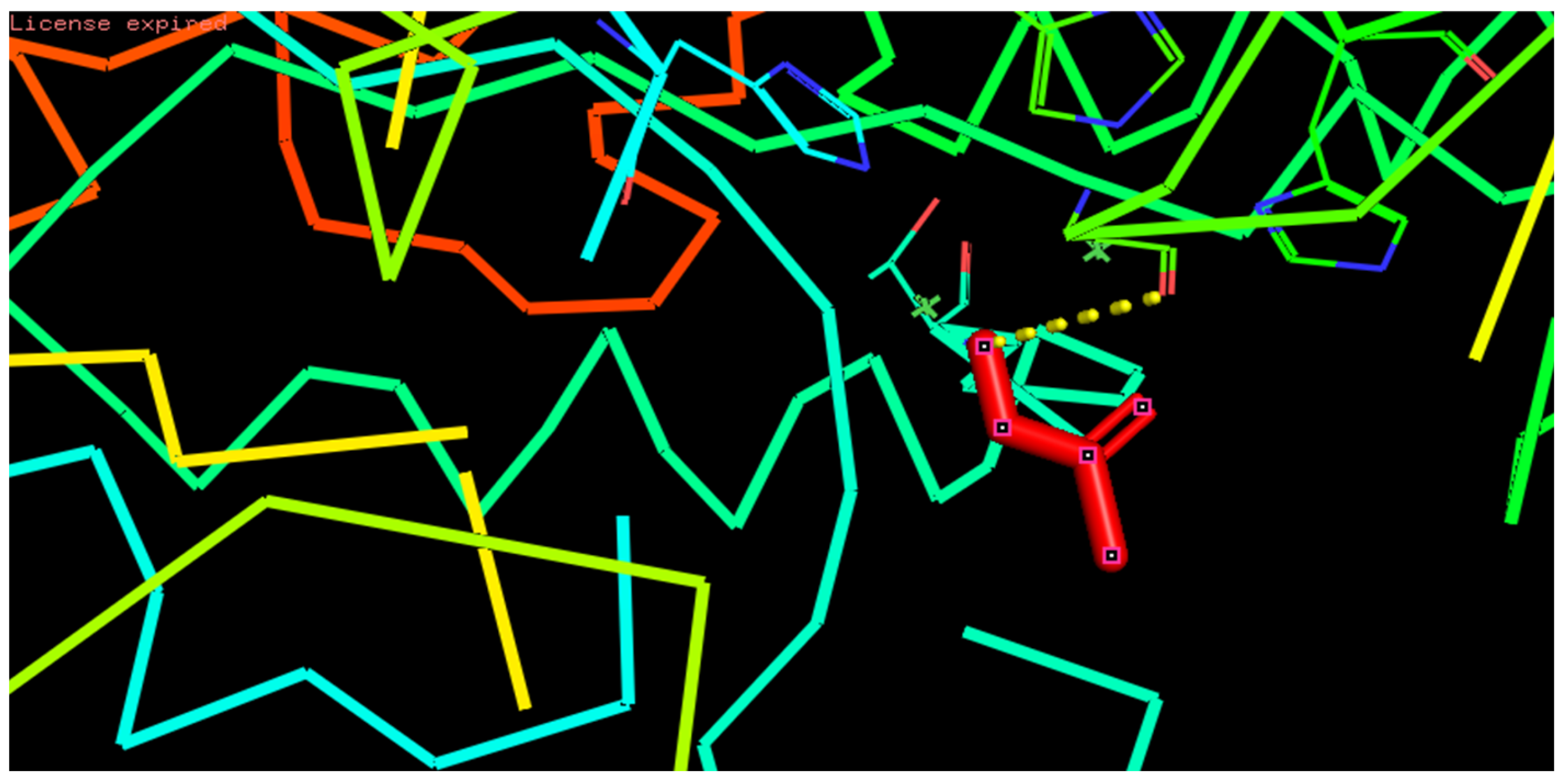 Molecules 28 01908 g001
