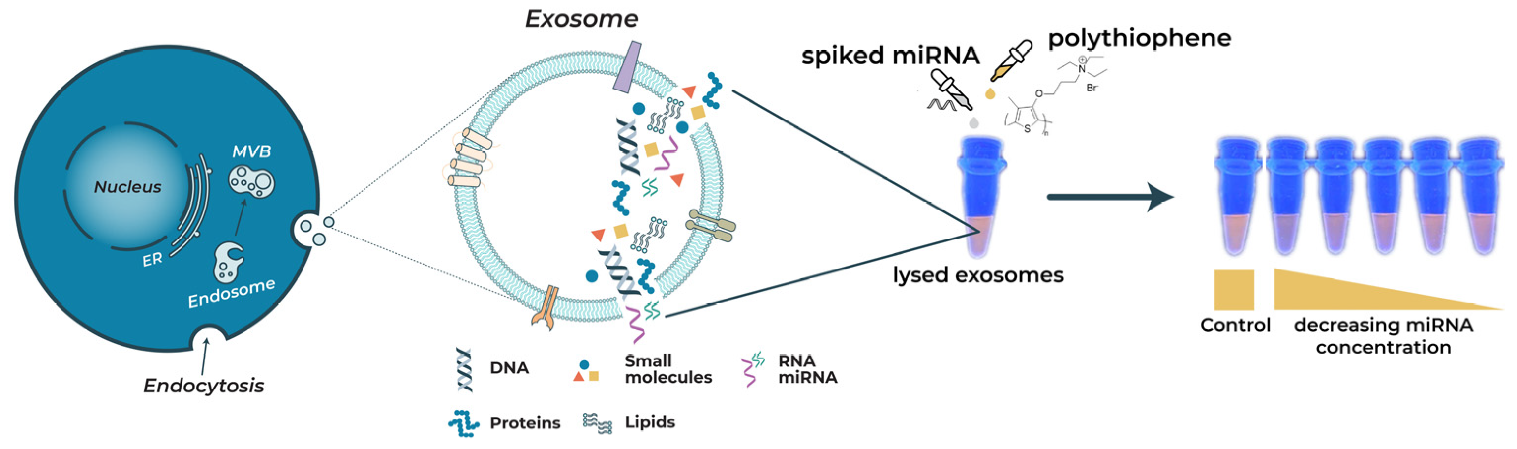 Molecules 28 01909 g001