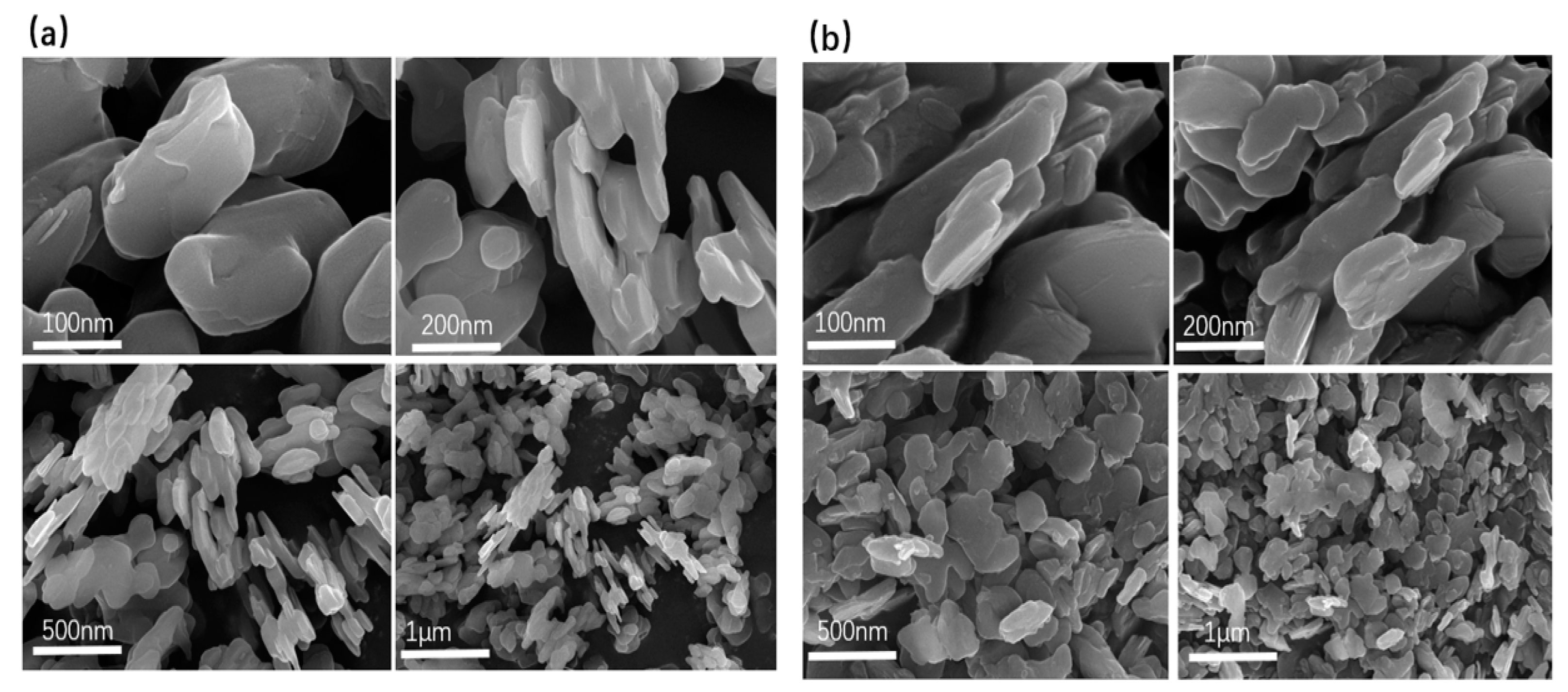 Molecules 28 01911 g005 Molecules 28 01911 g005